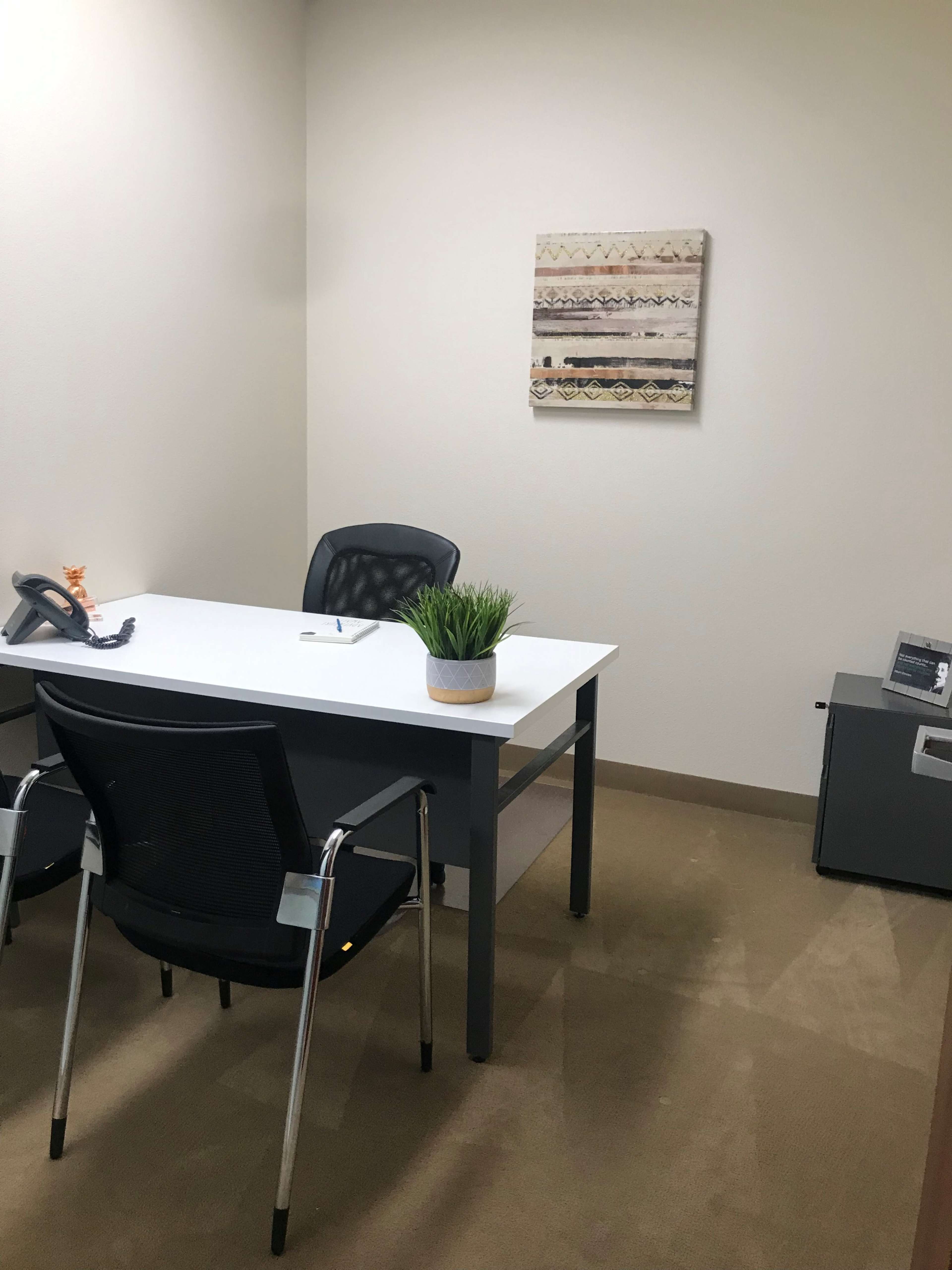 A small office features a desk with two chairs, a phone, and a potted plant, alongside a filing cabinet and a wall-mounted artwork.
