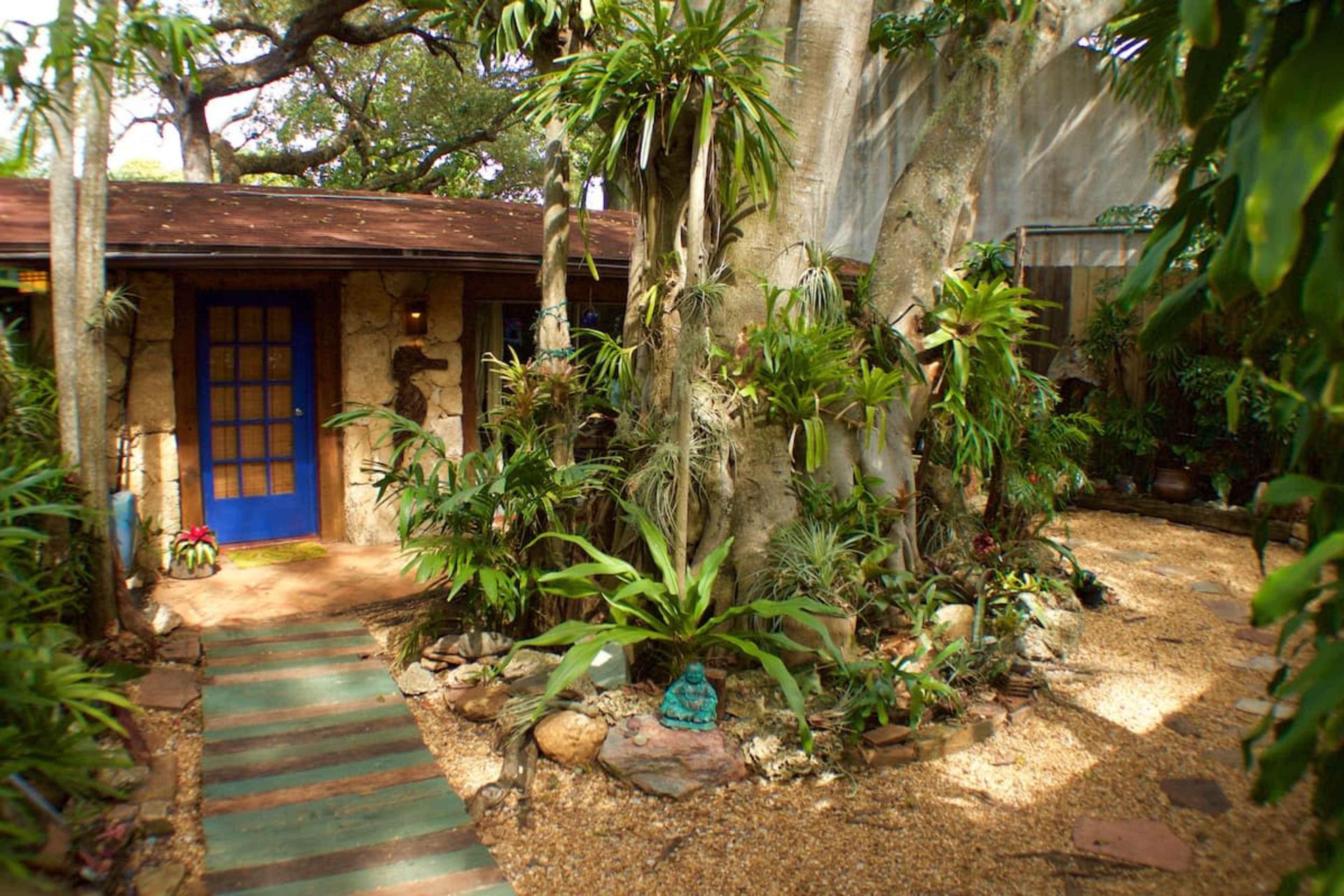 The image shows a small, rustic house with a blue door surrounded by various tropical plants and a gravel pathway.