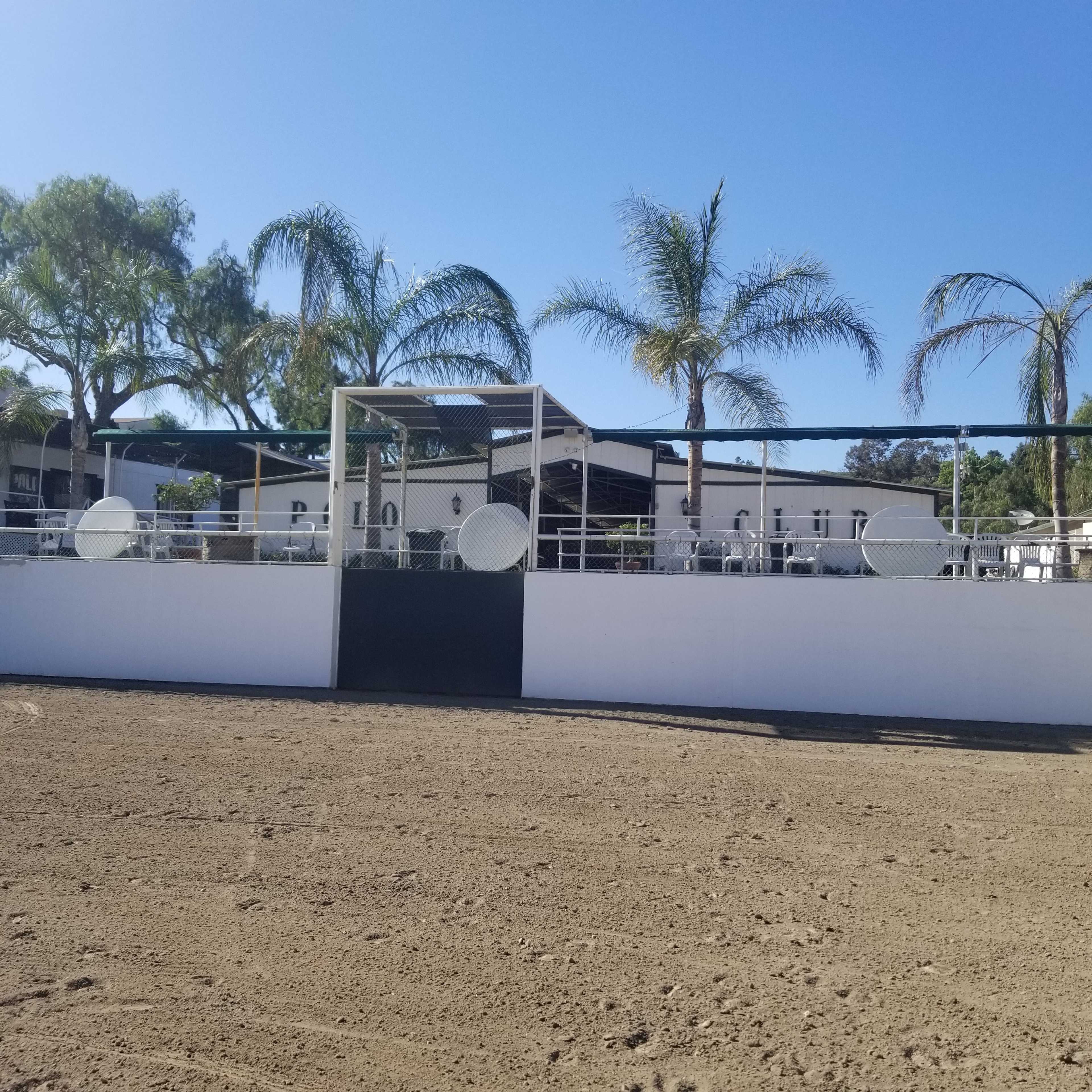 A sandy equestrian arena with a white wall and palm trees in the background, adjacent to a building.