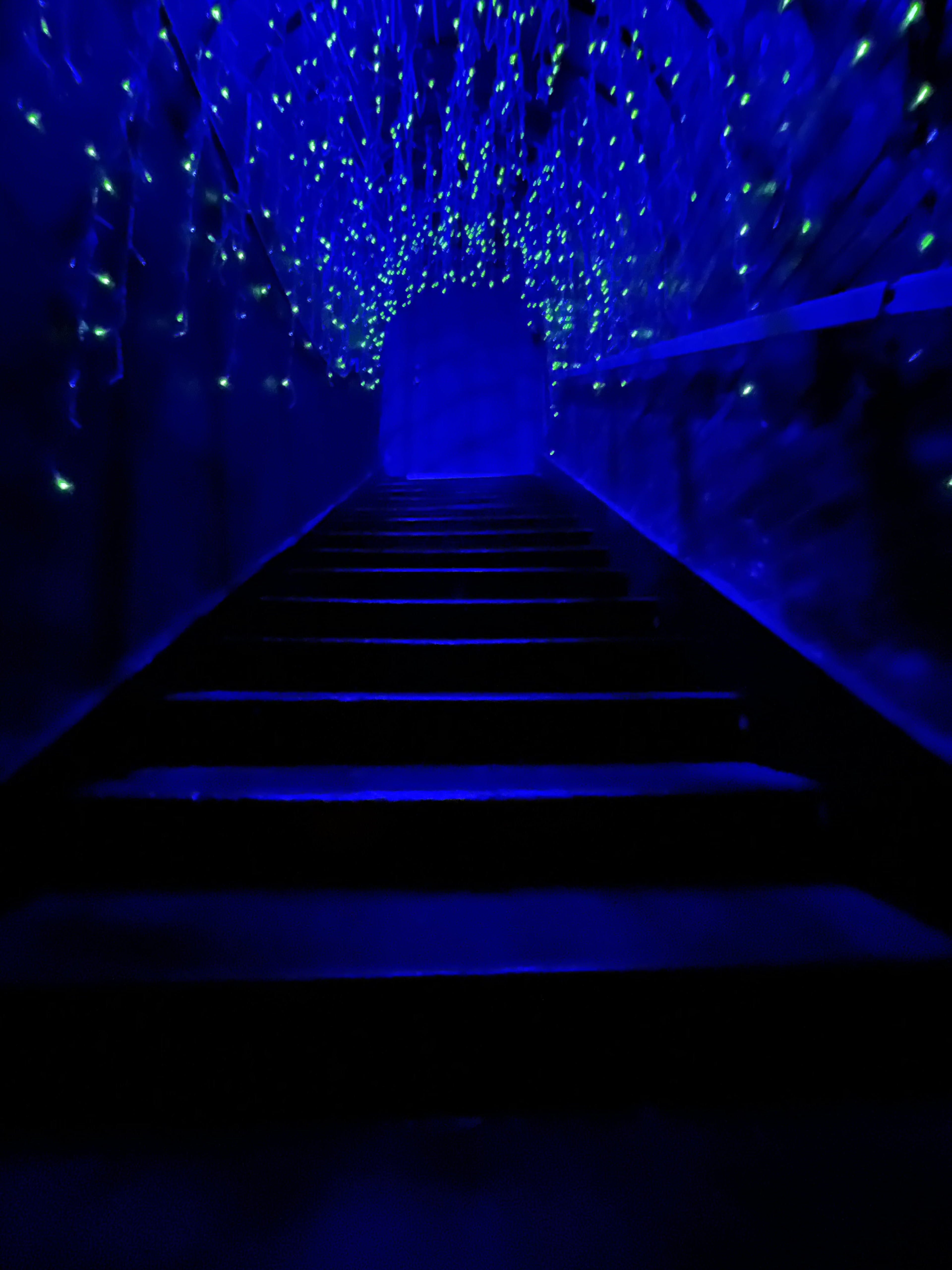 A dimly lit stairway leading upward, adorned with blue and green lights that create a tunnel-like effect.