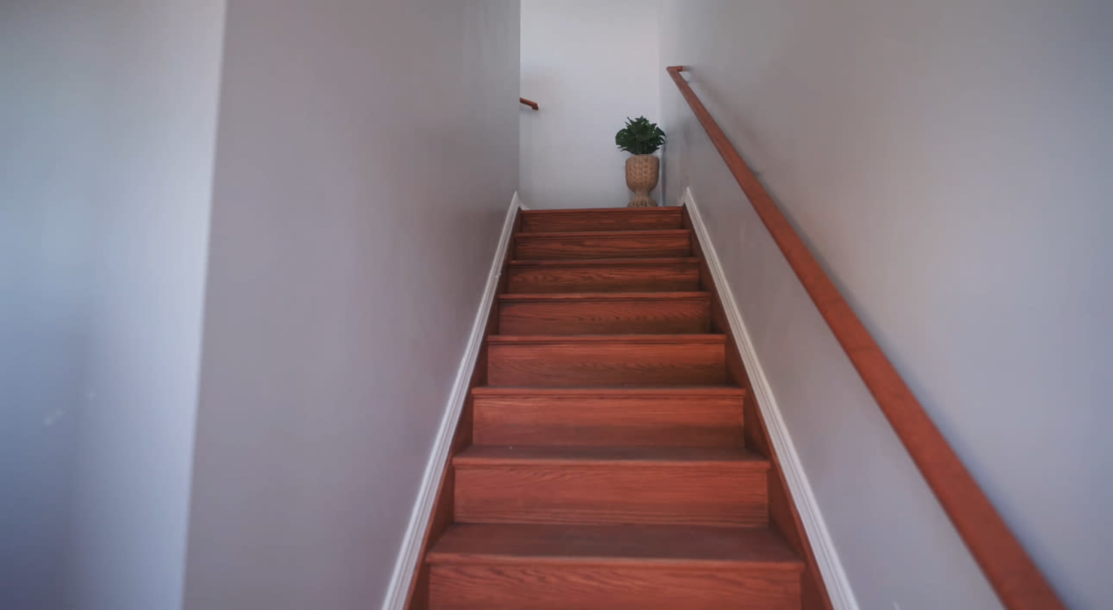 The image shows a wooden staircase leading upward, with a potted plant at the top of the stairs against a plain wall.
