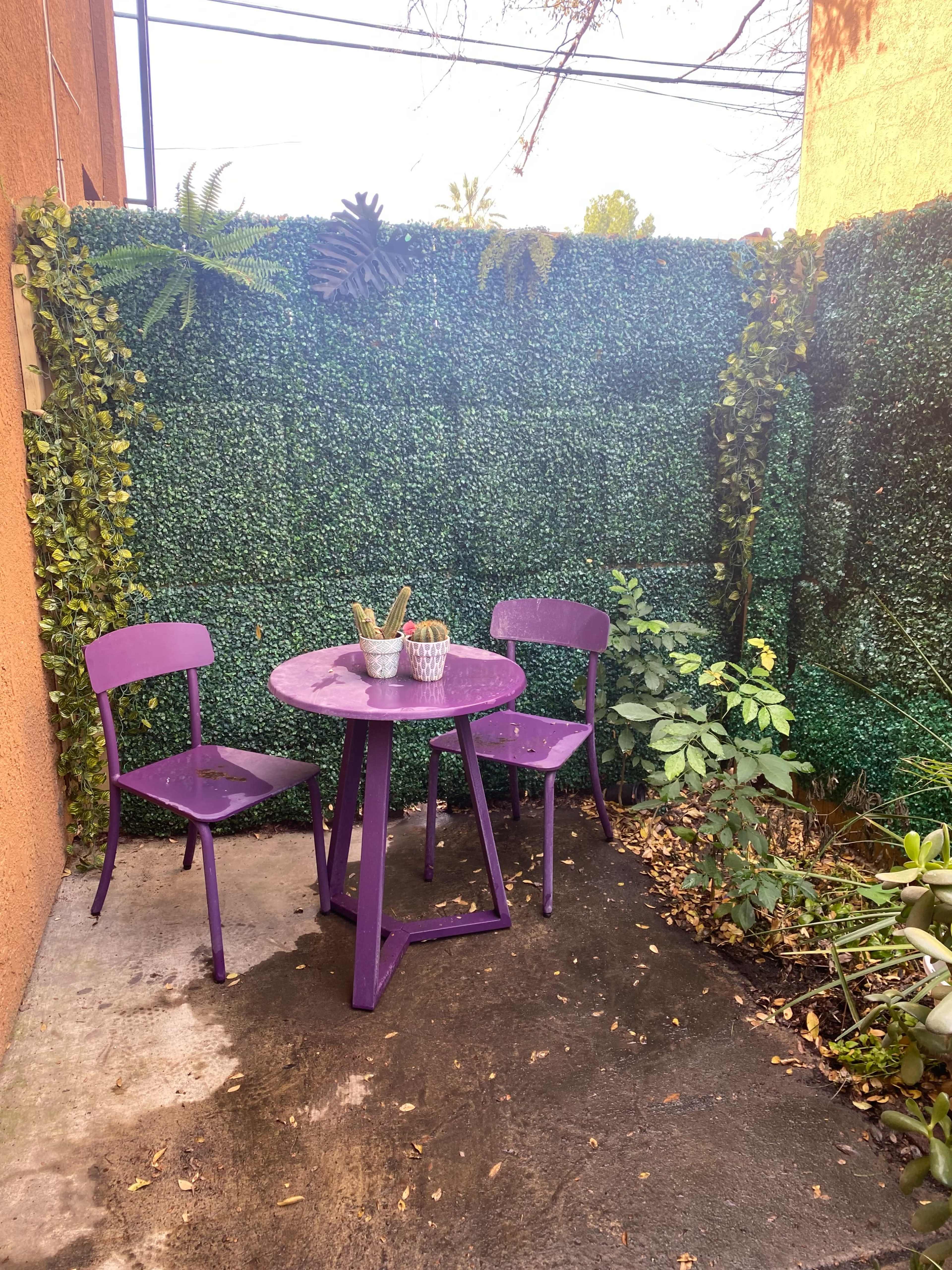 A small purple table with two chairs is placed on a concrete surface surrounded by a green hedge.