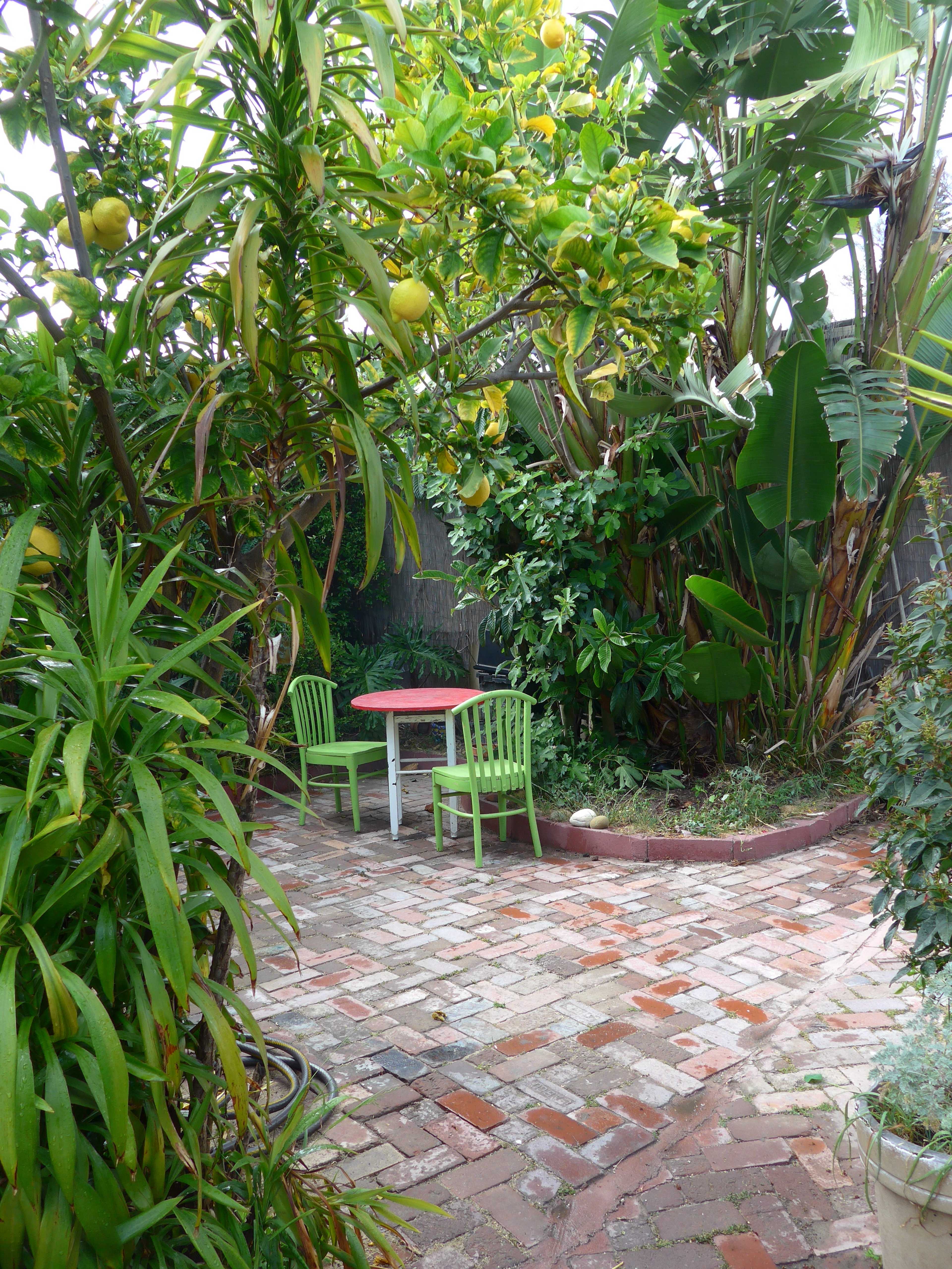 A circular brick patio is surrounded by lush greenery and tropical plants, featuring a small white table and two green chairs.