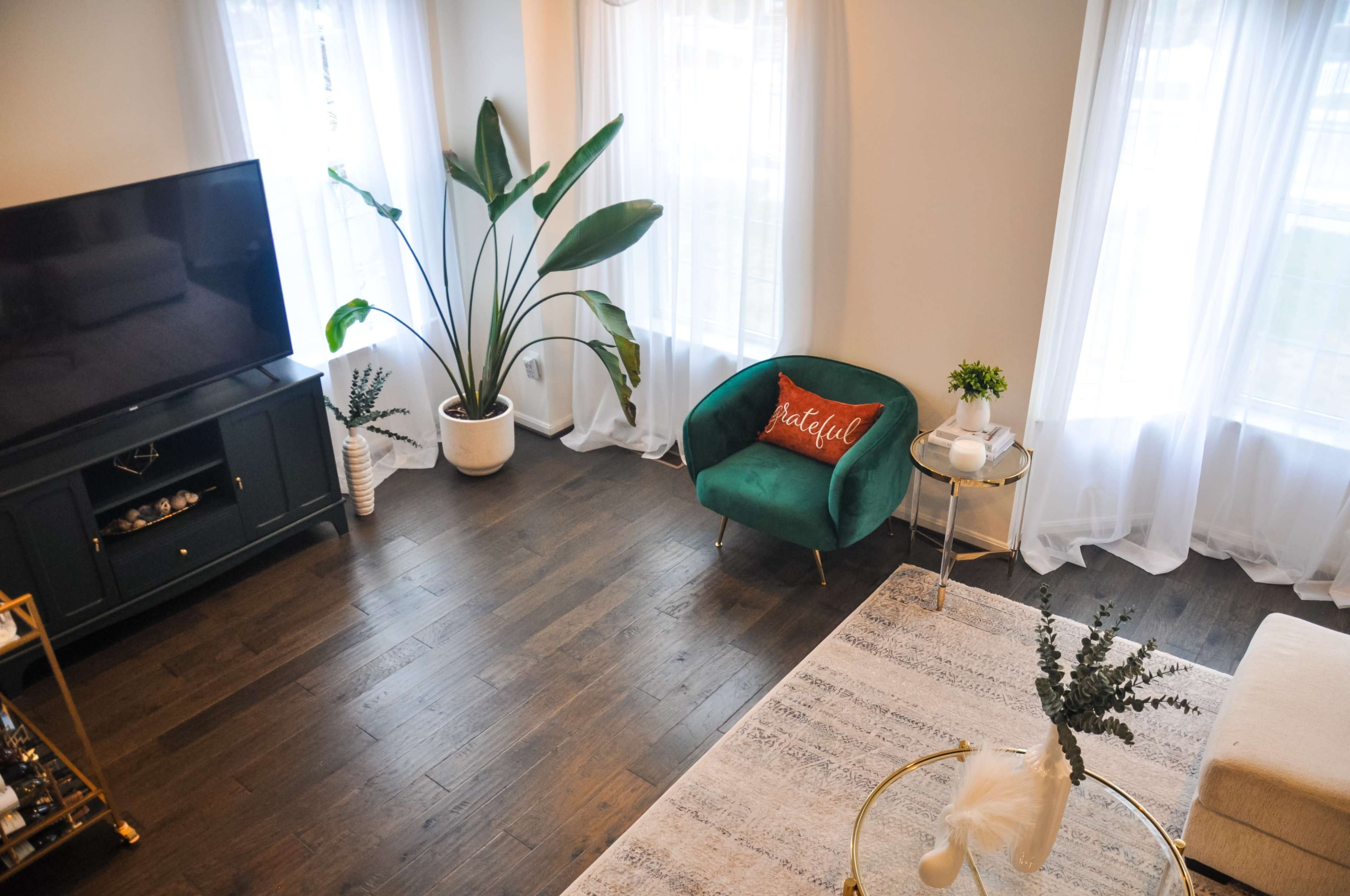 A living room features a green armchair with a decorative pillow, a potted plant, a television, and sunlight filtering through sheer curtains.