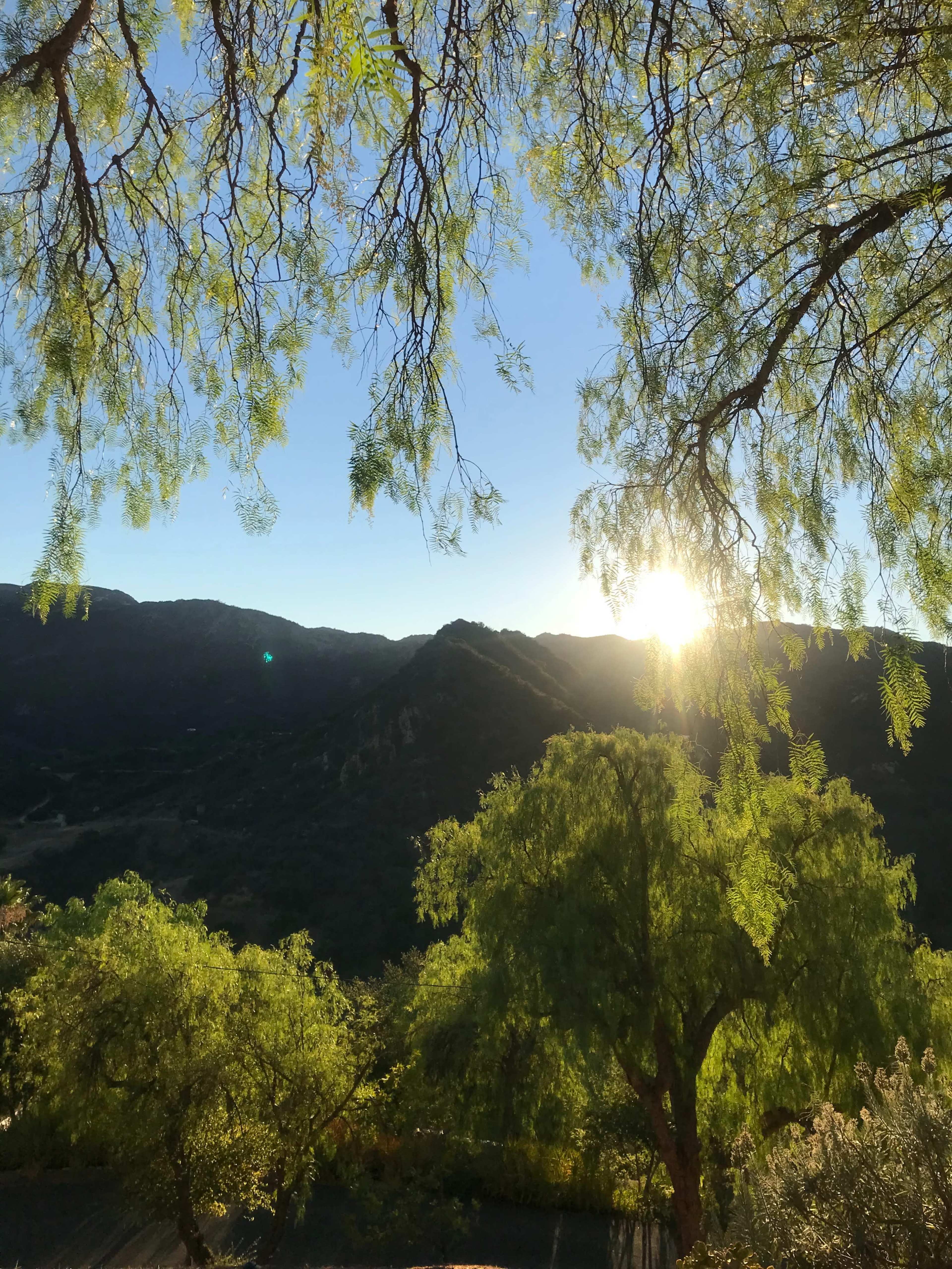 The image shows a view of mountains framed by trees, with the sun rising above the horizon.