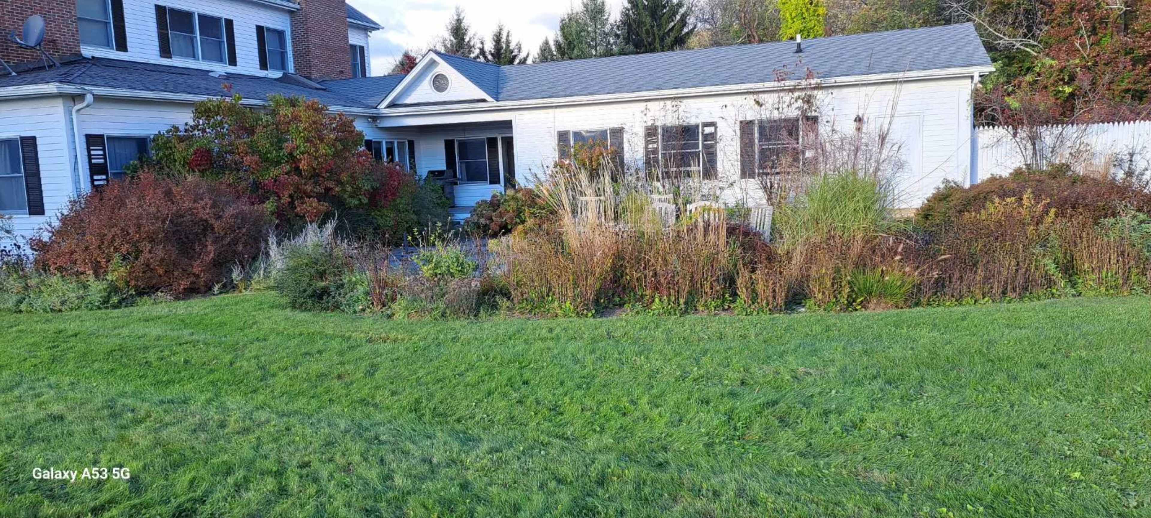 A white house with a gray roof is surrounded by overgrown gardens and shrubs, with a grassy area in the foreground.