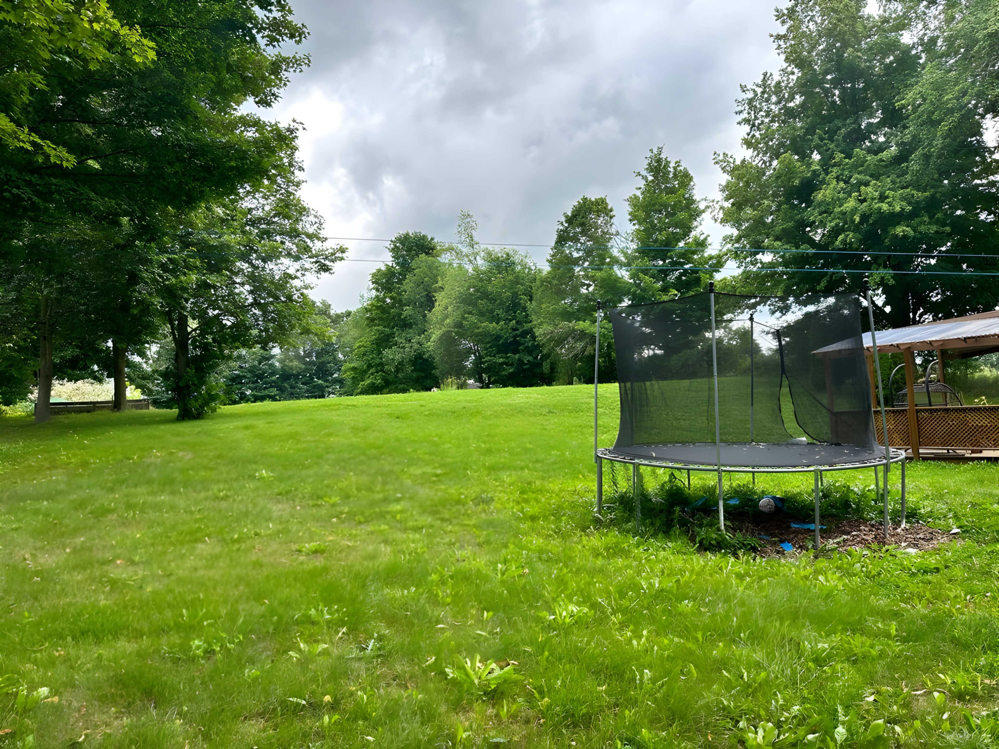 A grassy yard with a trampoline and a gazebo, surrounded by trees under a cloudy sky.