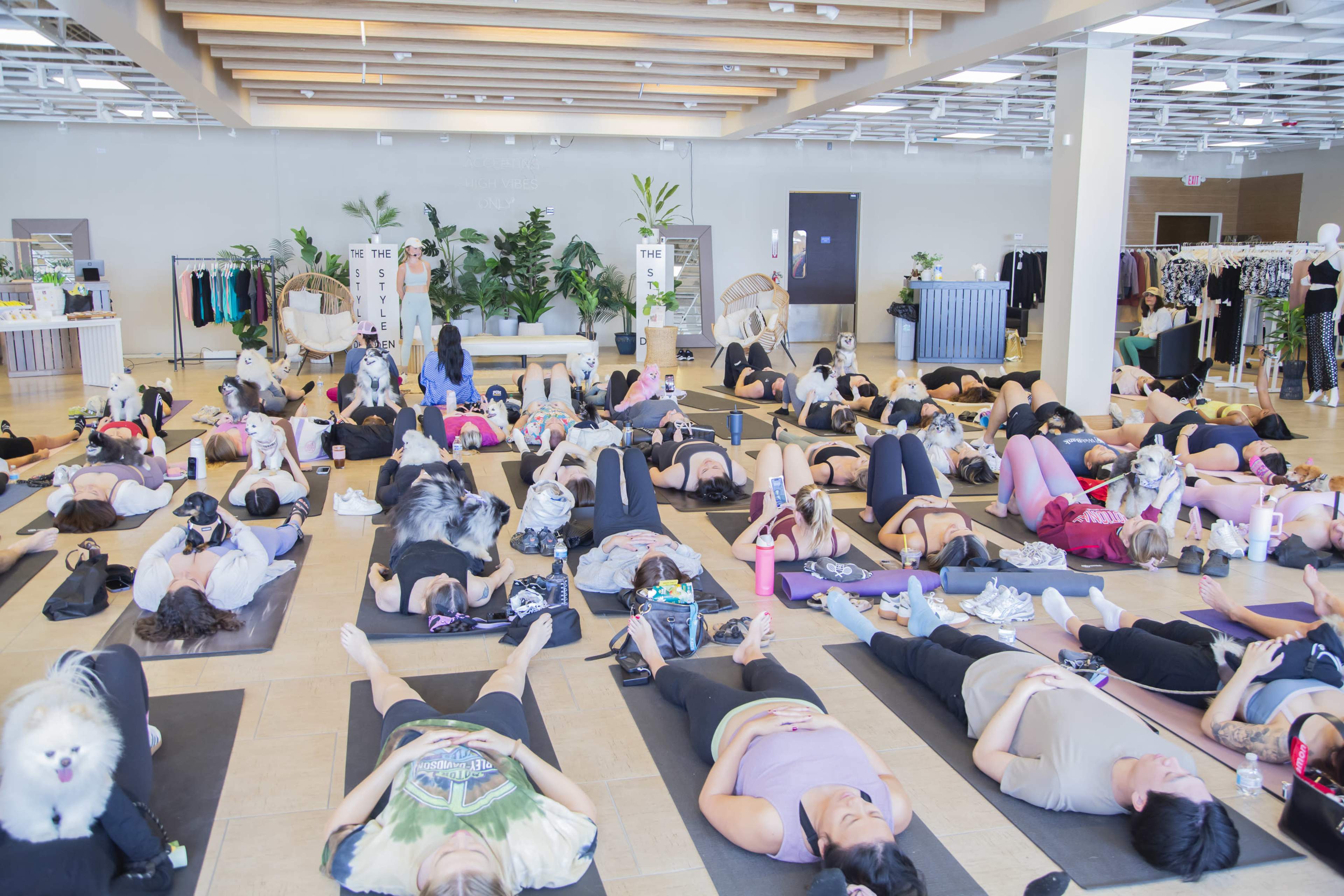 A large group of people lies on yoga mats in a spacious studio, practicing relaxation exercises while various dogs are also present nearby.