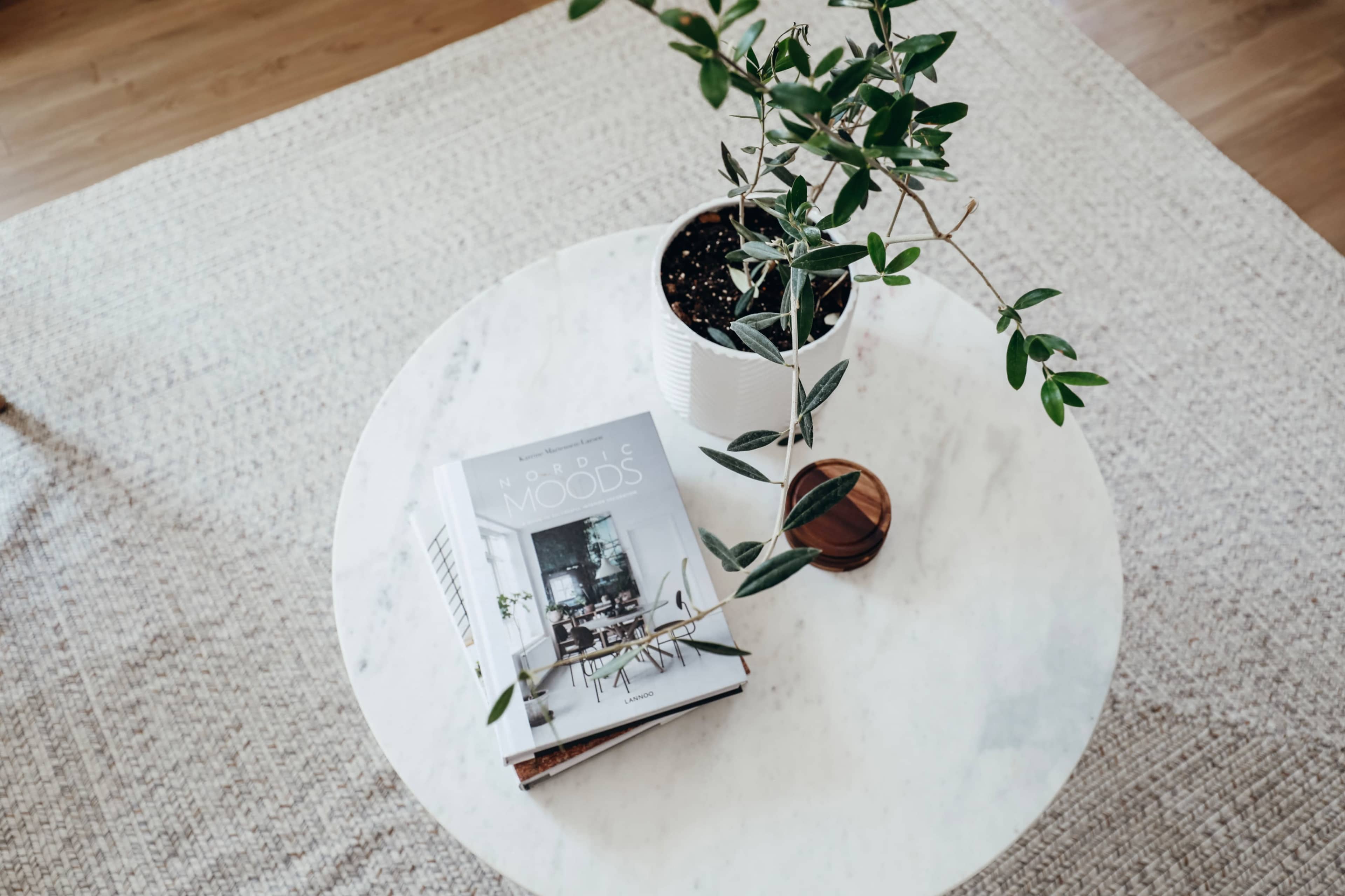A marble coffee table features a plant in a decorative pot and a book titled "Moods."