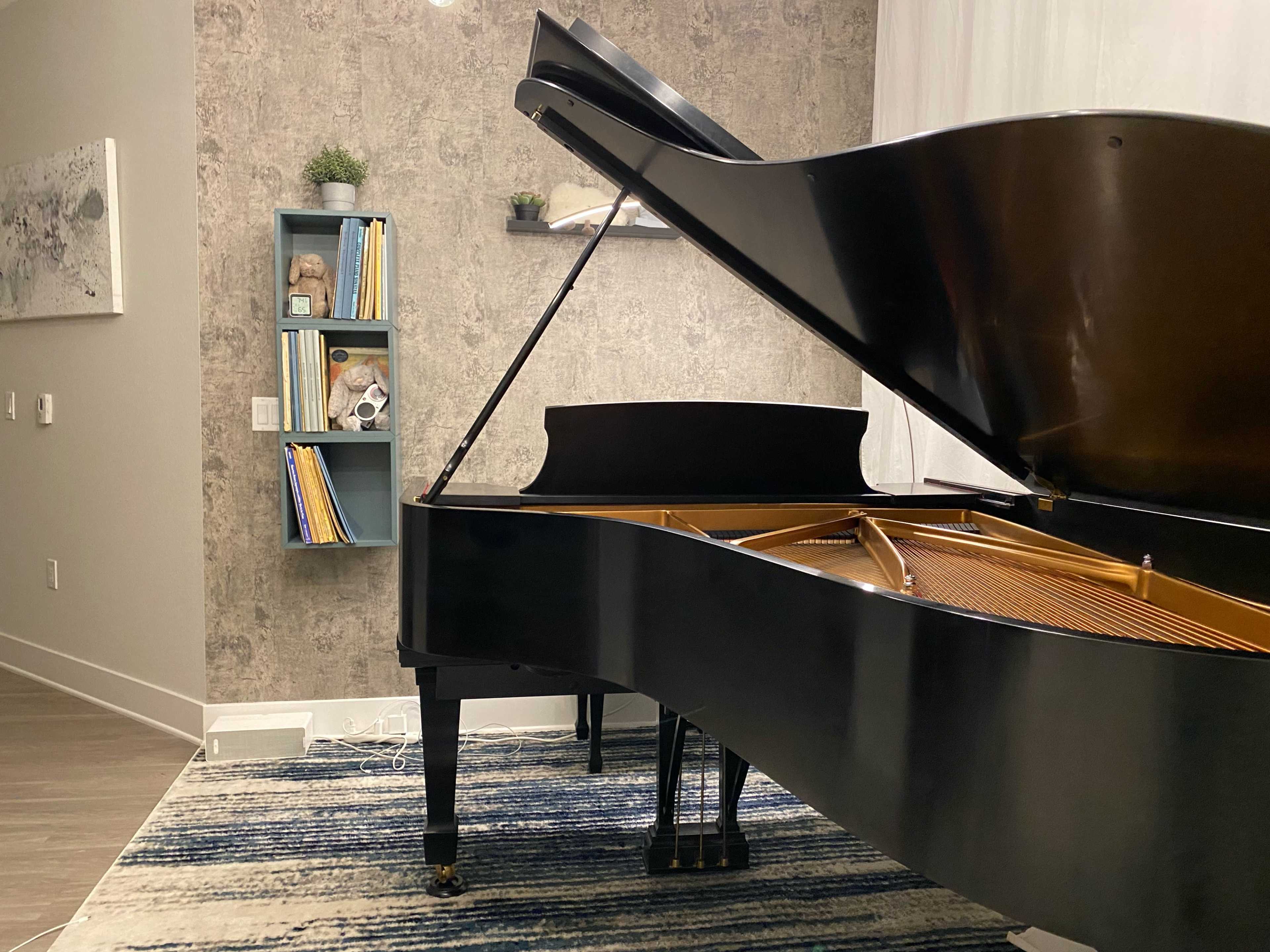A black grand piano is positioned beside a wall featuring shelves with books and decorative items in a well-lit room.
