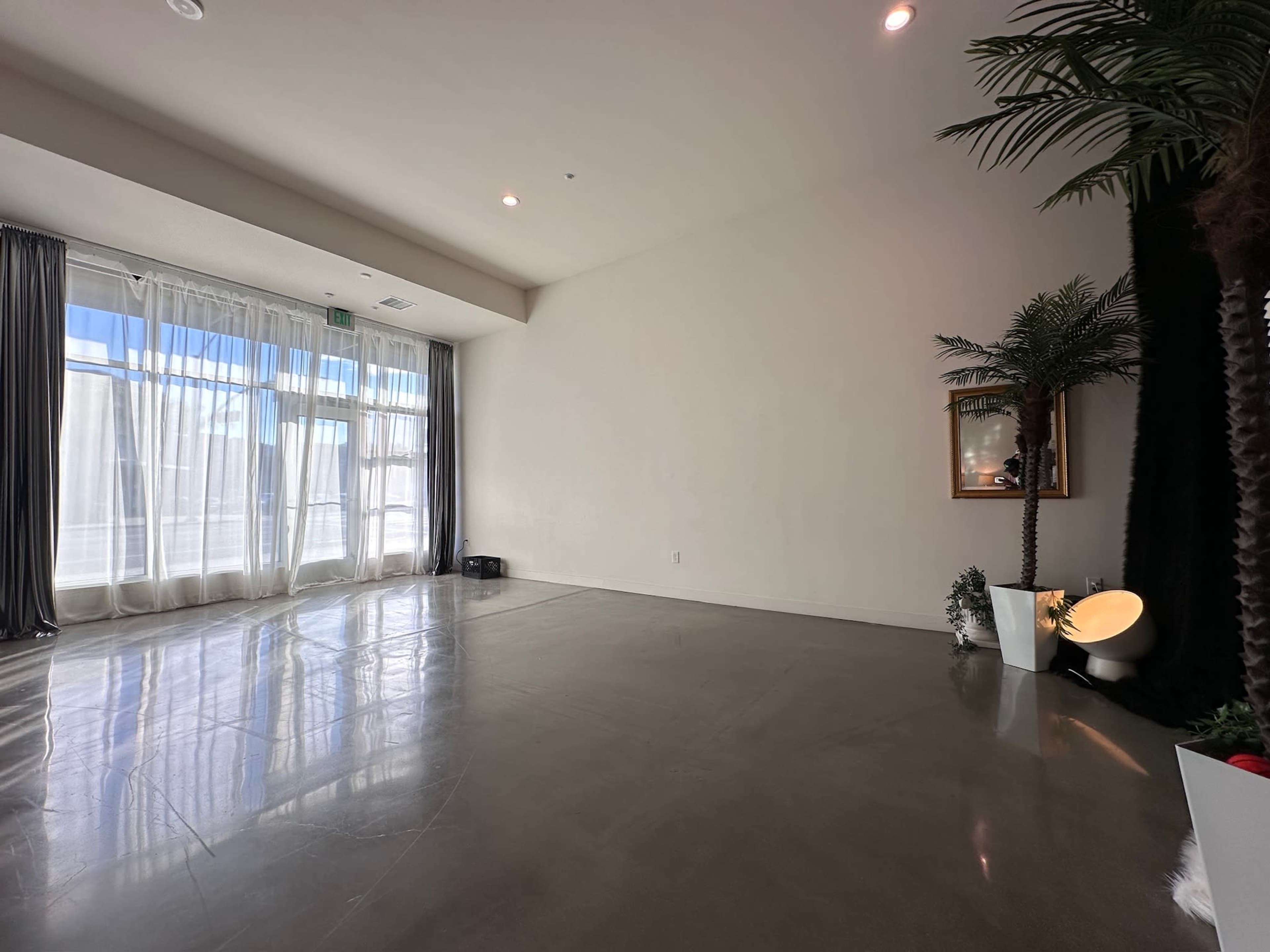 A spacious interior with large windows, polished concrete flooring, and a decorative plant in a white pot near a mirror.