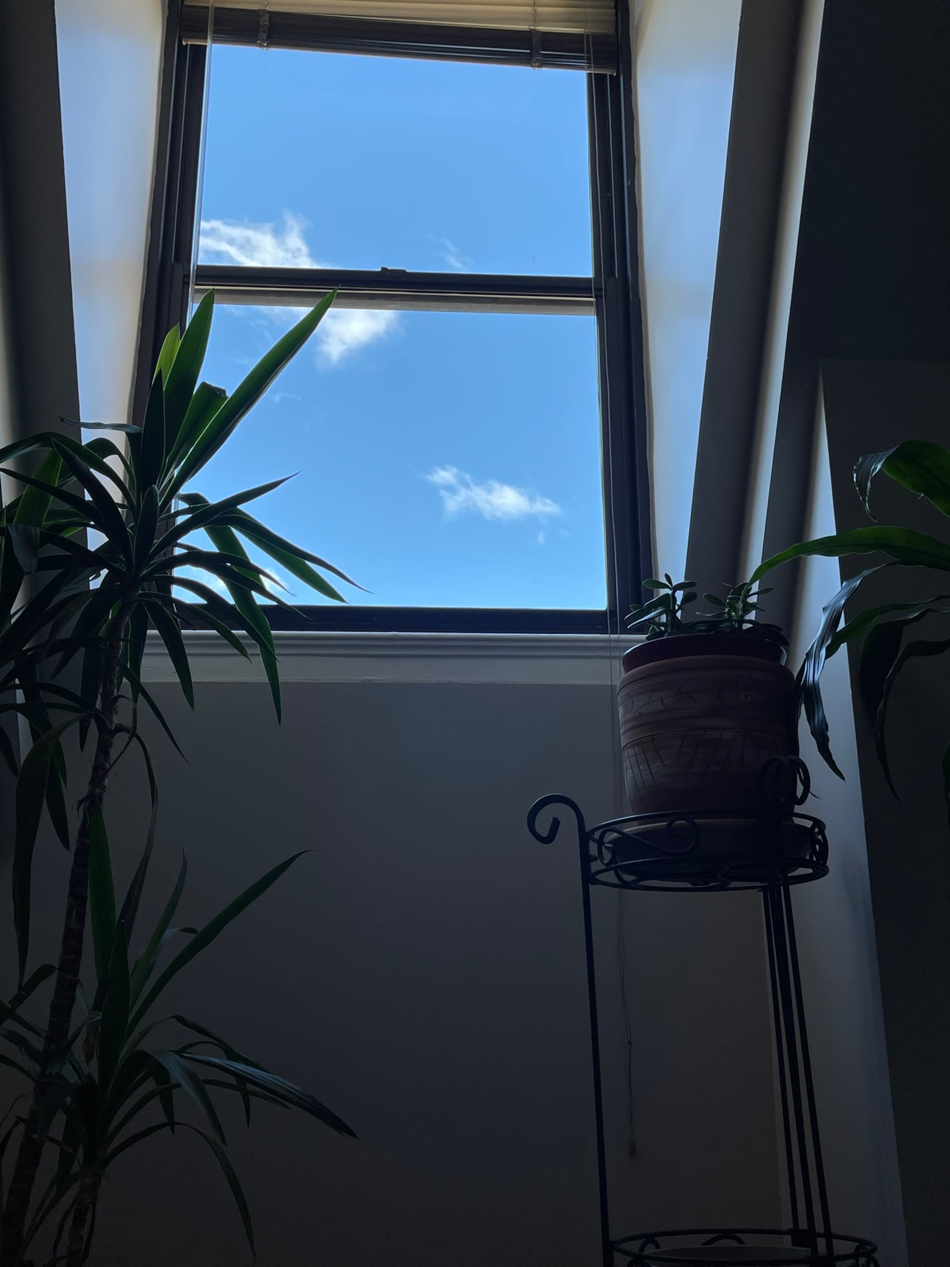 A window with a view of a blue sky and clouds is framed by indoor plants on either side.