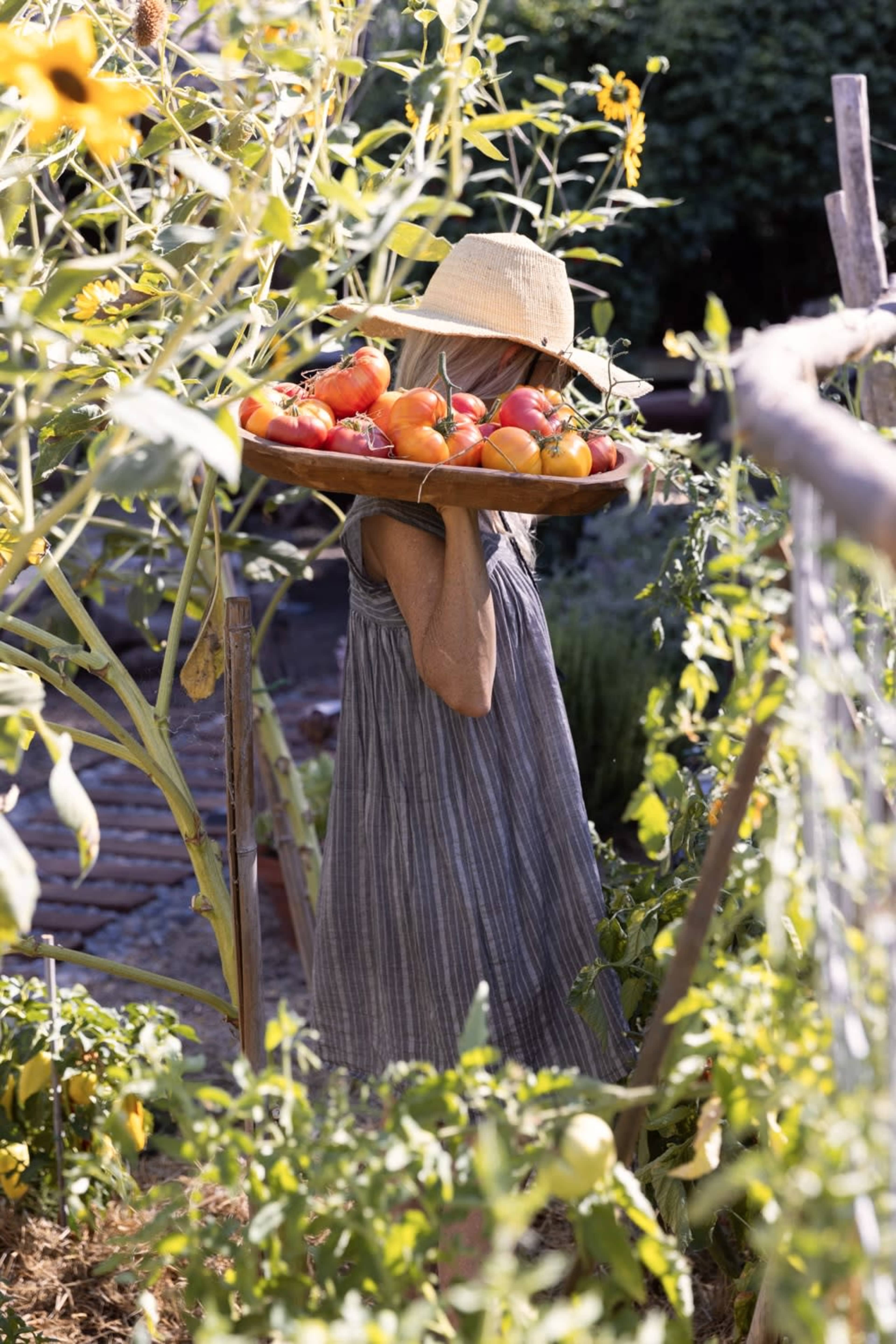 Hidden garden retreat in the heart of down town Petaluma with a vintage Airstream and outdoor fire pit. Image in Petaluma, Petaluma, CA