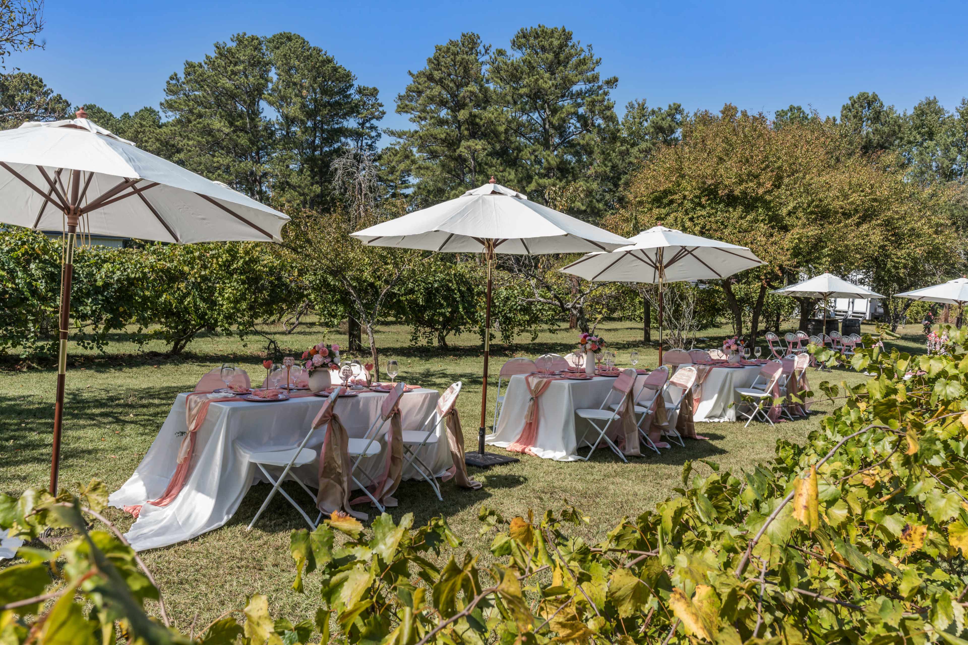 Southern Vineyard & Orchard Venue w/Beautiful Garden Pavilion for Celebrations | 20 Mins South of Atlanta Image in , Jonesboro, GA