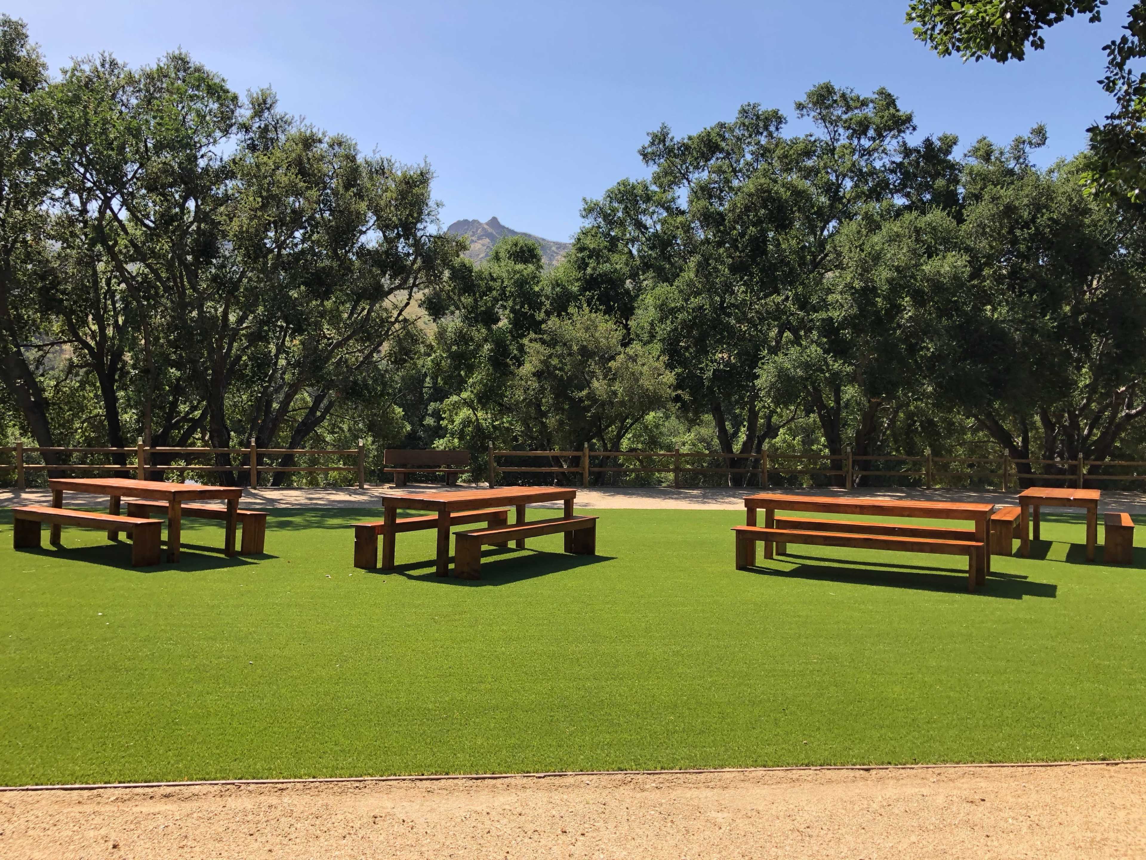 A green lawn area with several wooden picnic tables arranged under trees.
