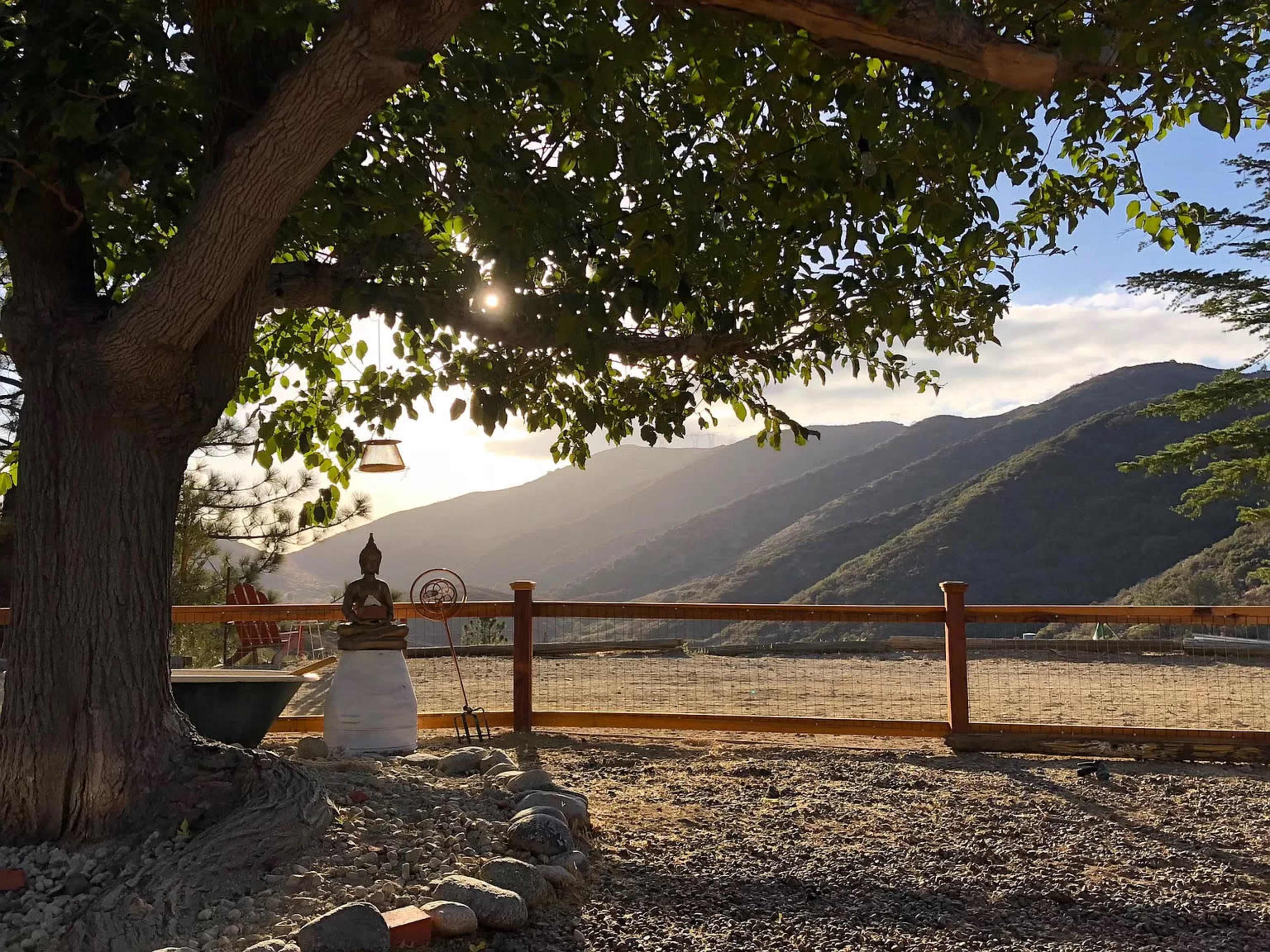 A large tree with green leaves provides shade over a stone path leading to a Buddha statue, set against a backdrop of distant mountains under a partly cloudy sky.