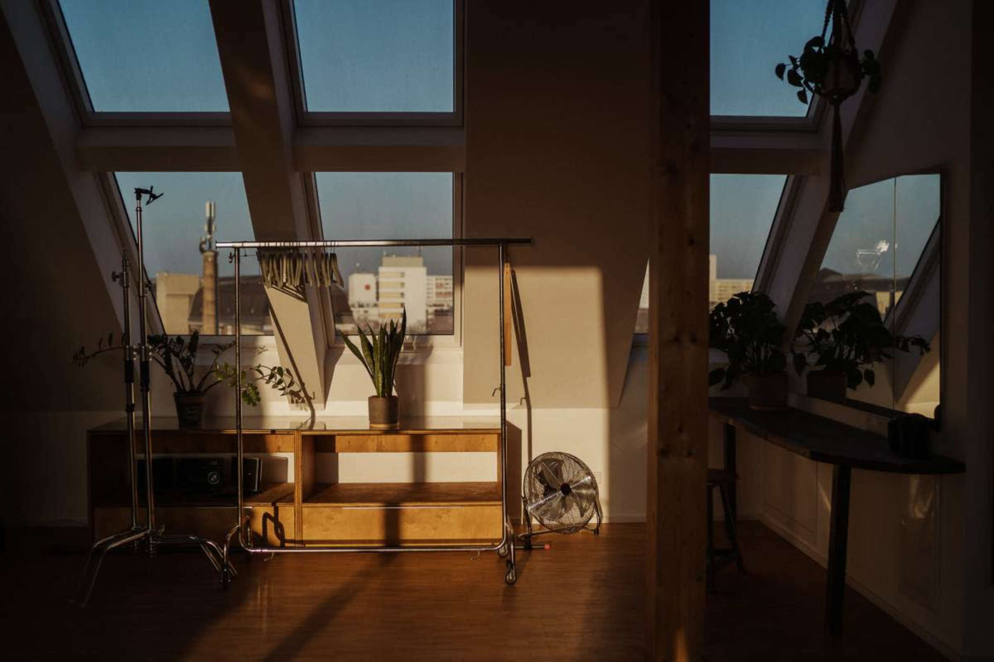 The image shows a spacious attic room with large skylights, a clothing rack, a wooden shelf with plants, and a fan.