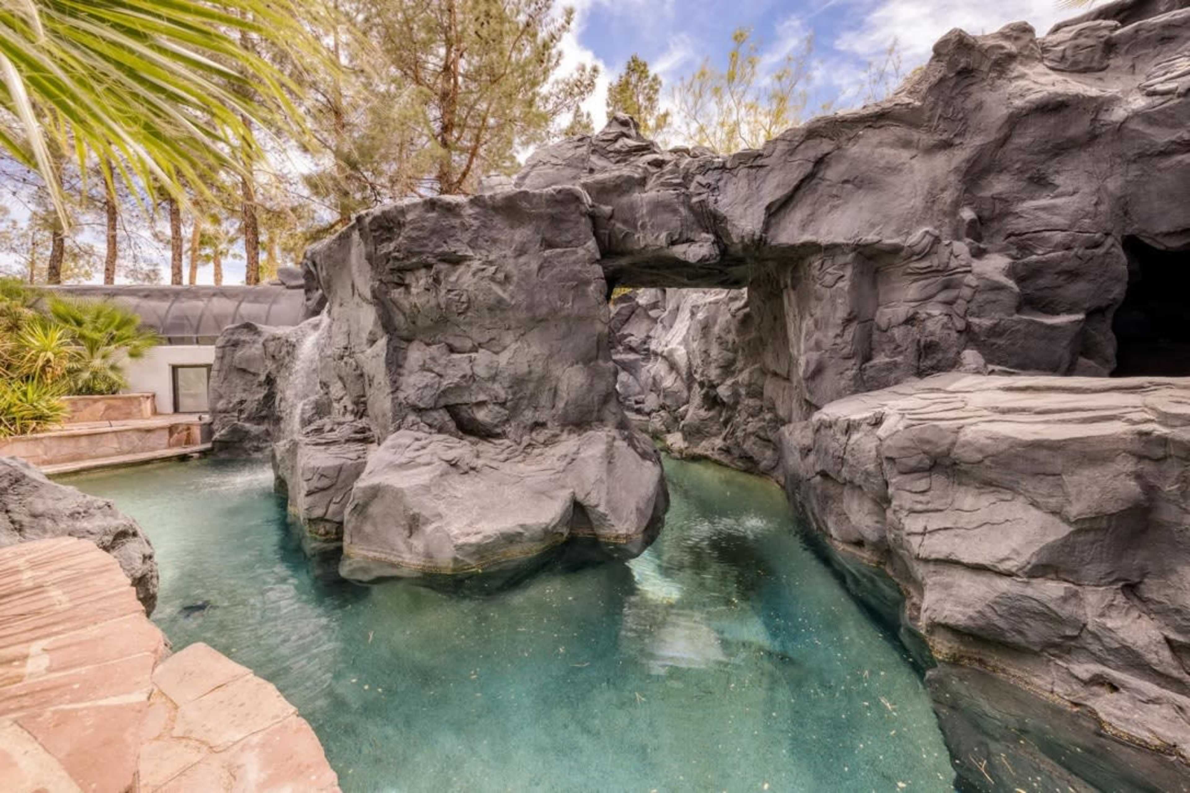 The image shows a rocky landscape surrounding a clear pool of water with palm trees in the background.