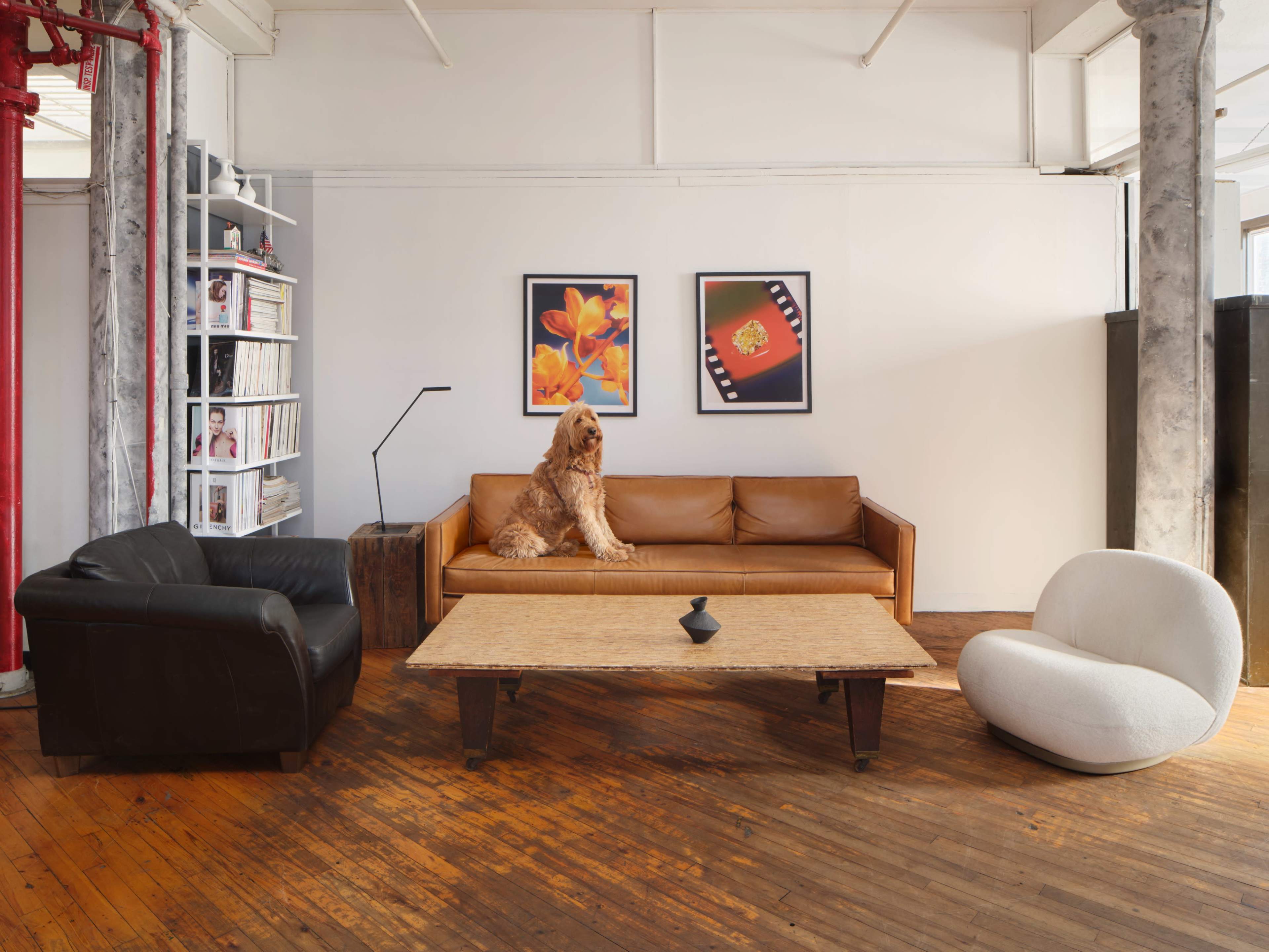 A spacious living room features a brown leather sofa with a dog sitting on it, a wooden coffee table, and two distinct chairs in a bright, uncluttered environment.