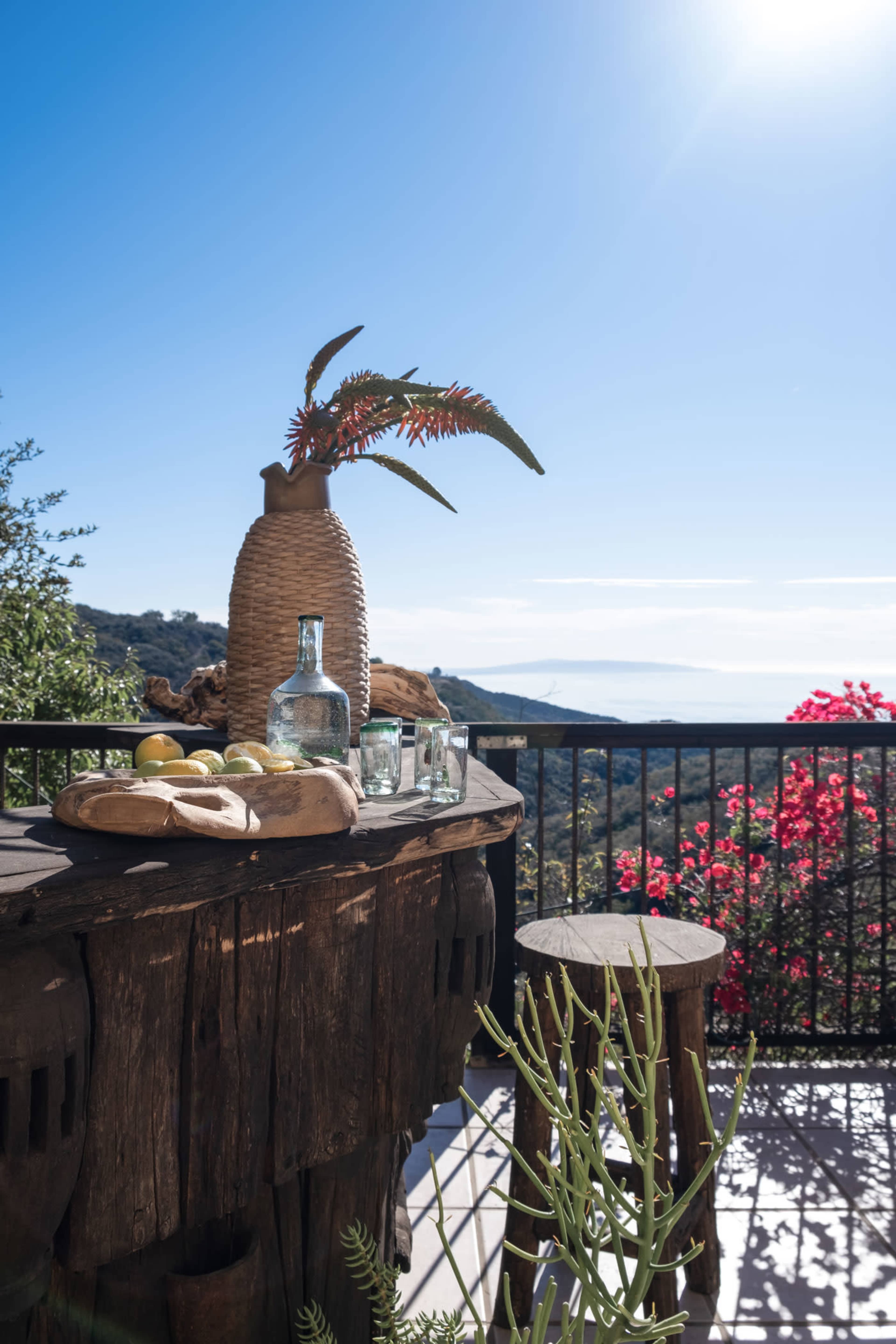 A rustic wooden table is set with a vase of flowers, a bottle, glasses, and fresh fruit, overlooking a scenic view with vibrant flowers and blue sky in the background.