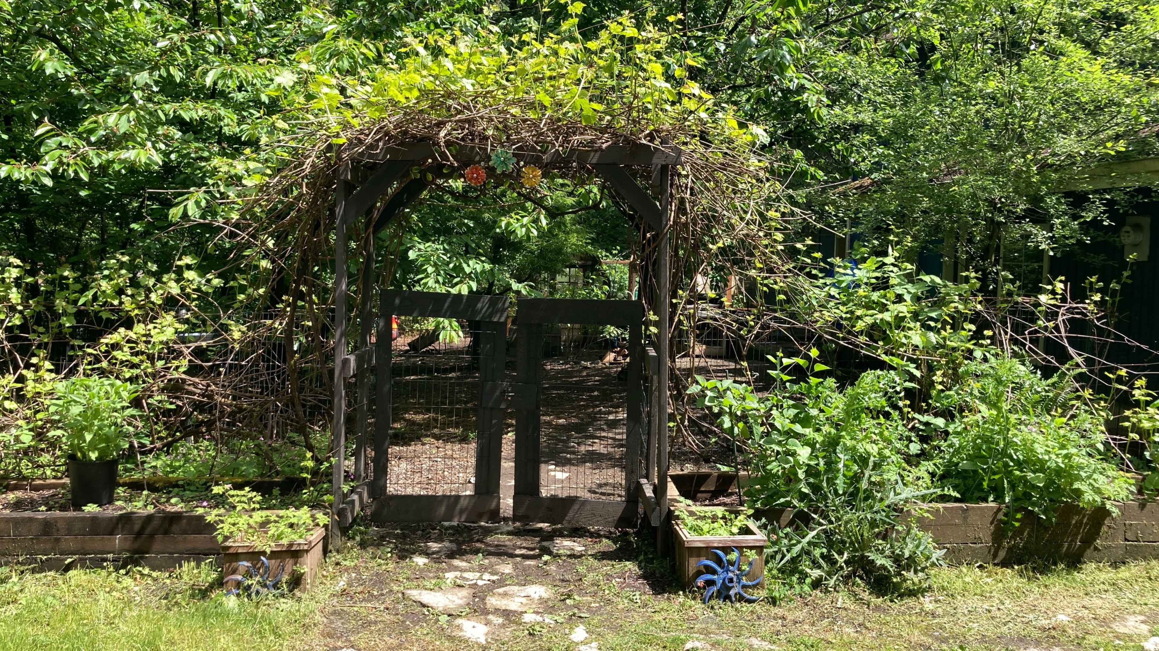 Forest Cathedral Rustic Creative Studio Image in , Port Orchard, WA