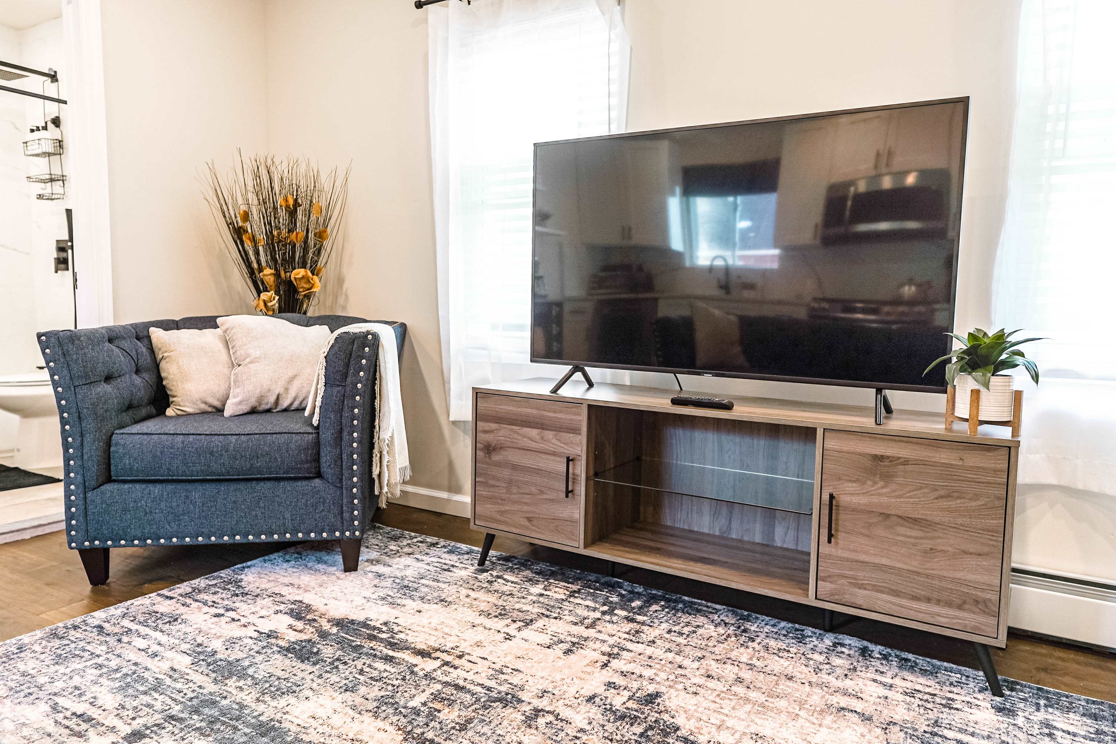 A living room with a gray upholstered armchair, a wooden TV stand with a flat-screen television, and a decorative plant beside it, all set against a patterned rug.