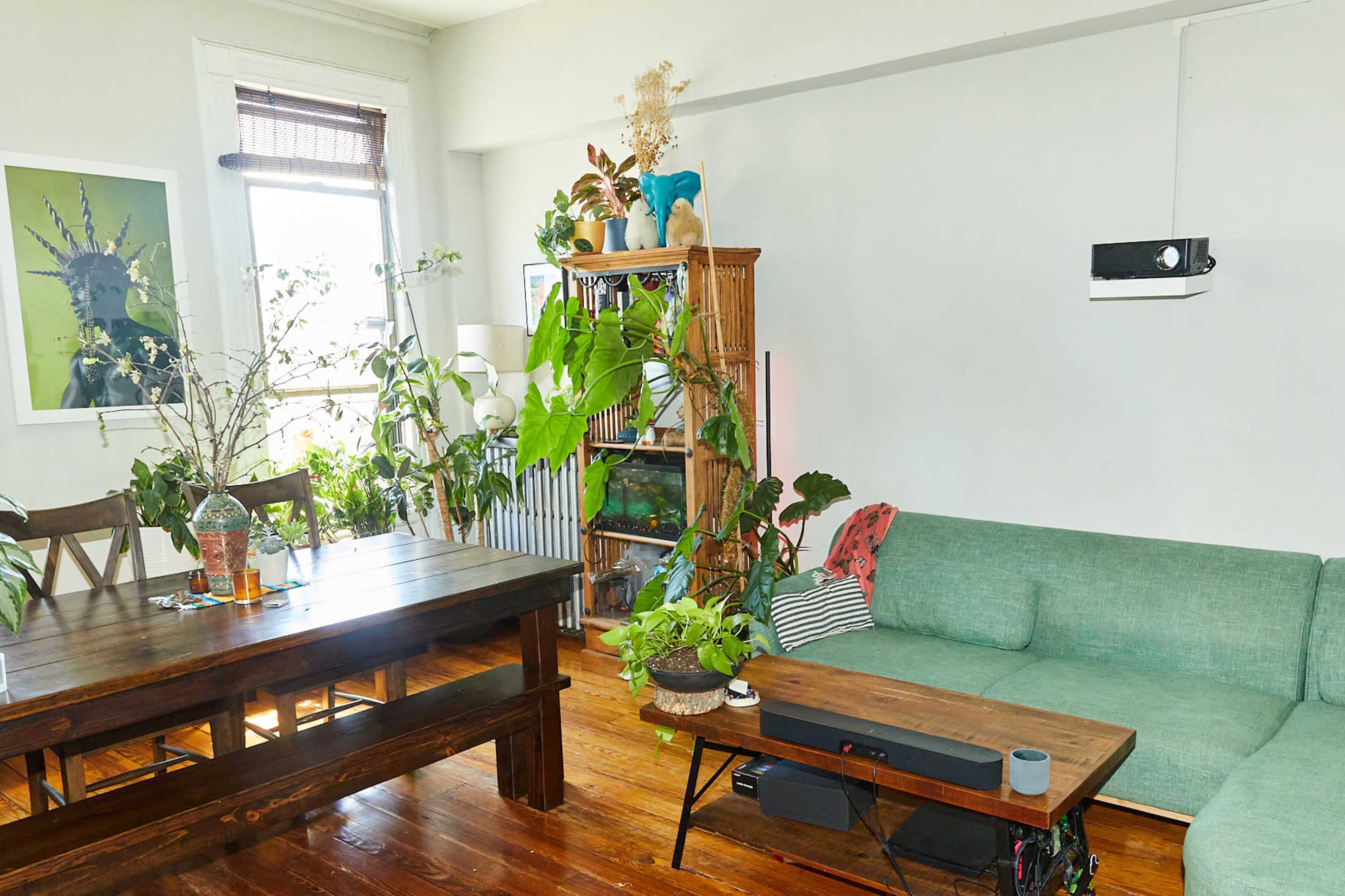 The image shows a modern living room with a green couch, a wooden dining table, and various houseplants arranged around the space.