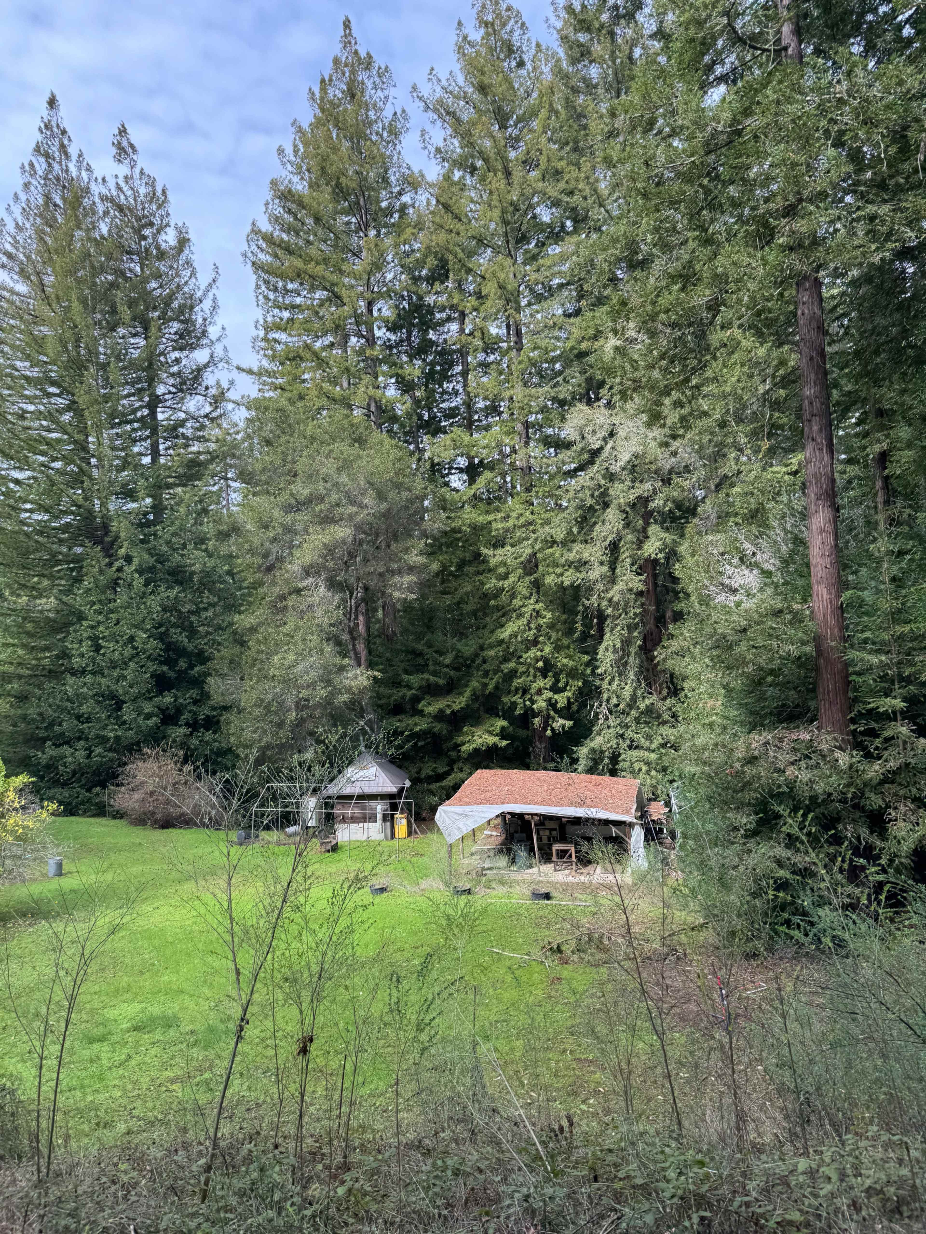 Beautiful Redwood Forest and Meadows, ~15 acres in Santa Cruz mountains Image in , Los Gatos, CA