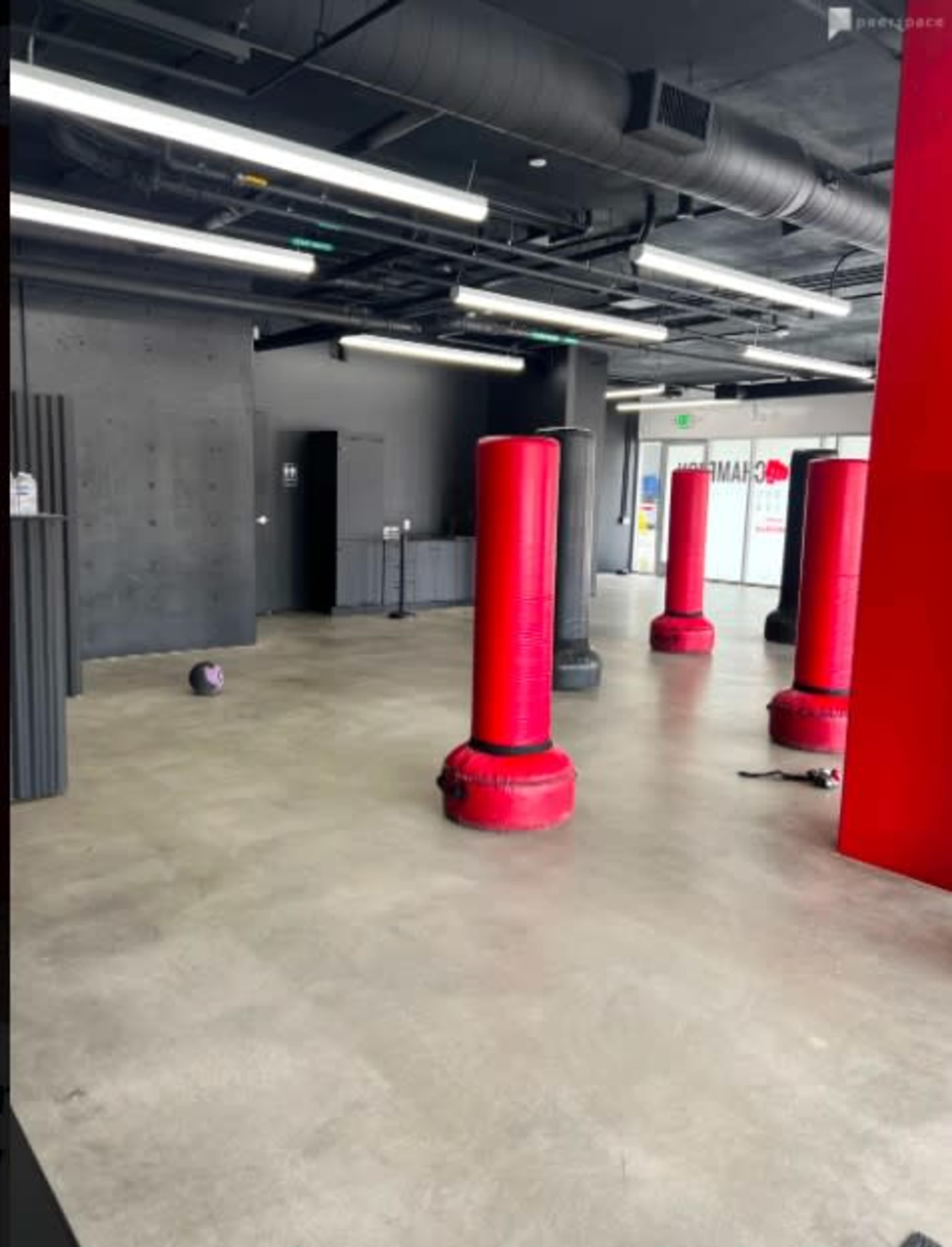 An empty gym interior with multiple red punching bags arranged in a spacious area and gray concrete flooring.