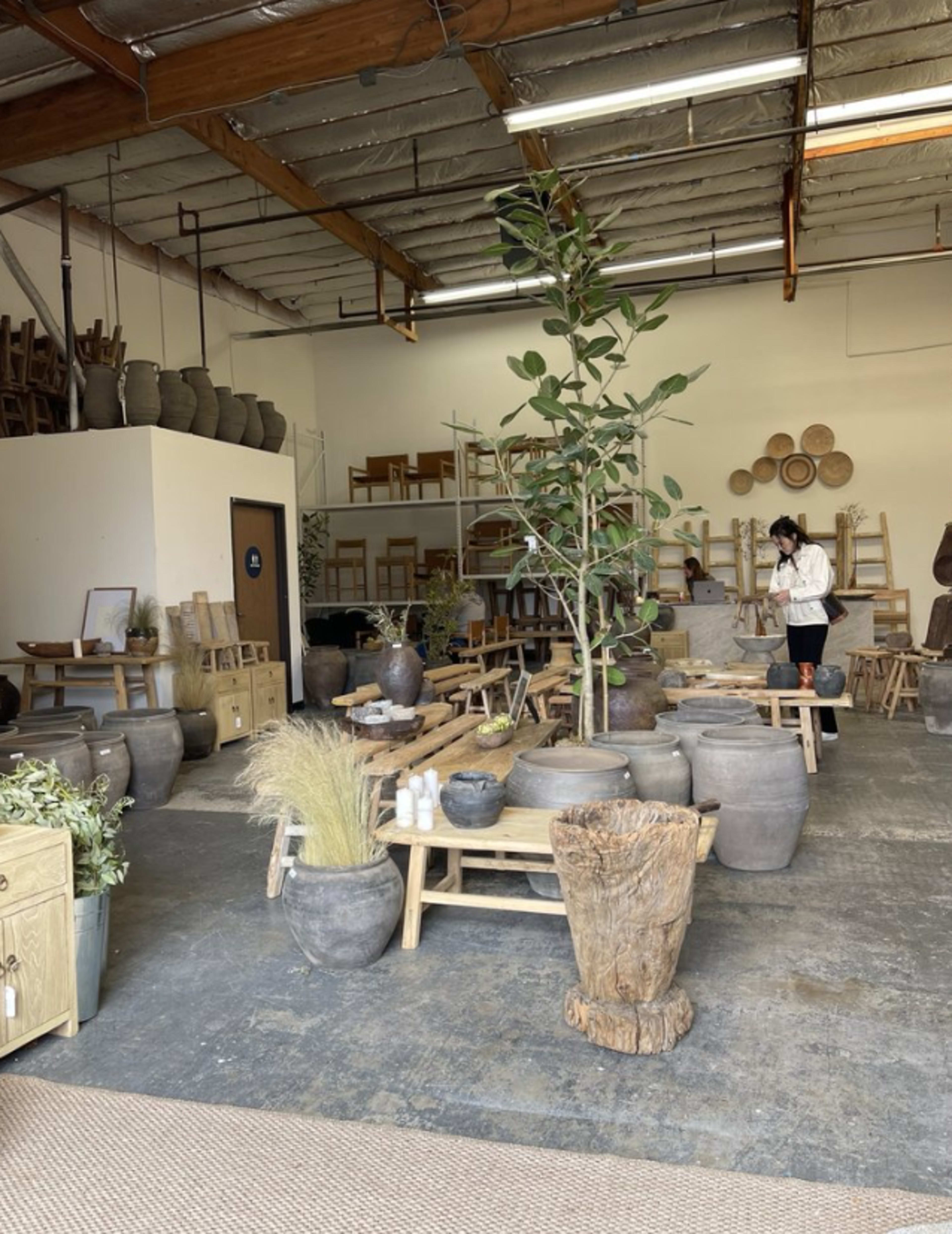 The image shows a spacious interior of a home decor store featuring wooden furniture, various potted plants, and decorative pottery arranged around the room.