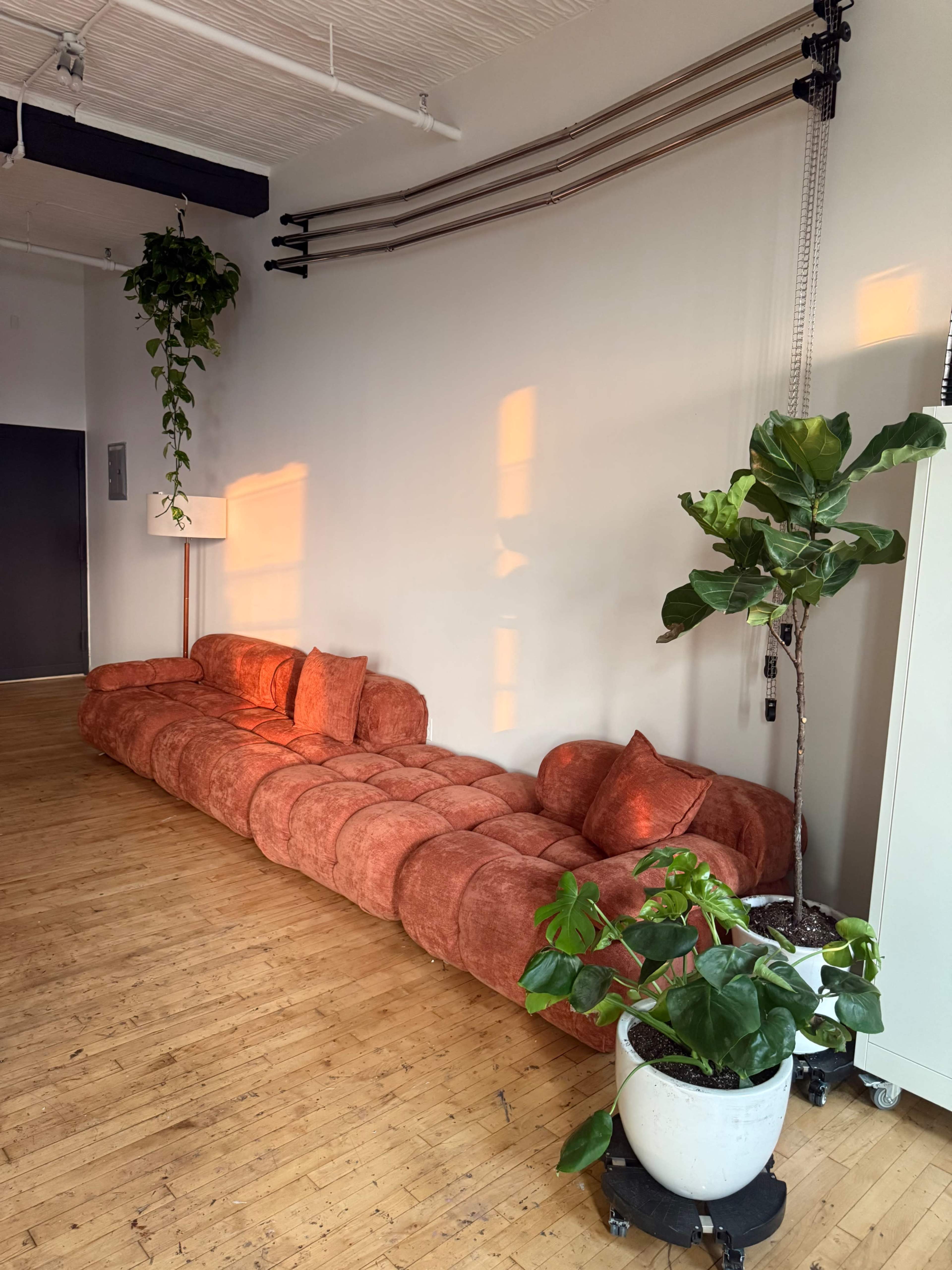 The image shows a spacious room featuring a large, orange sectional couch, a potted plant, and wooden flooring.