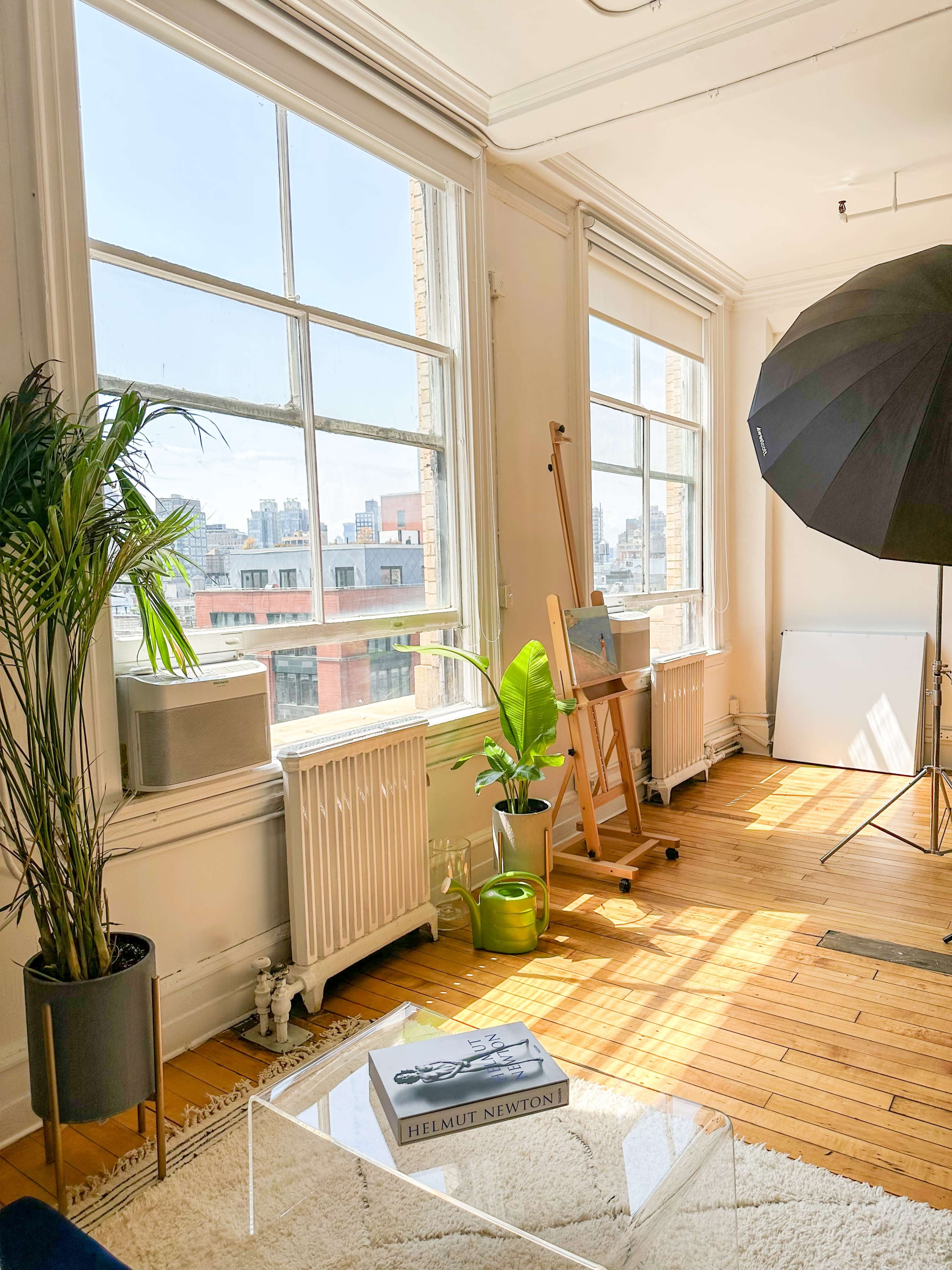 A sunlit room with large windows, a wooden floor, a potted plant, a photography reflector, and an easel.