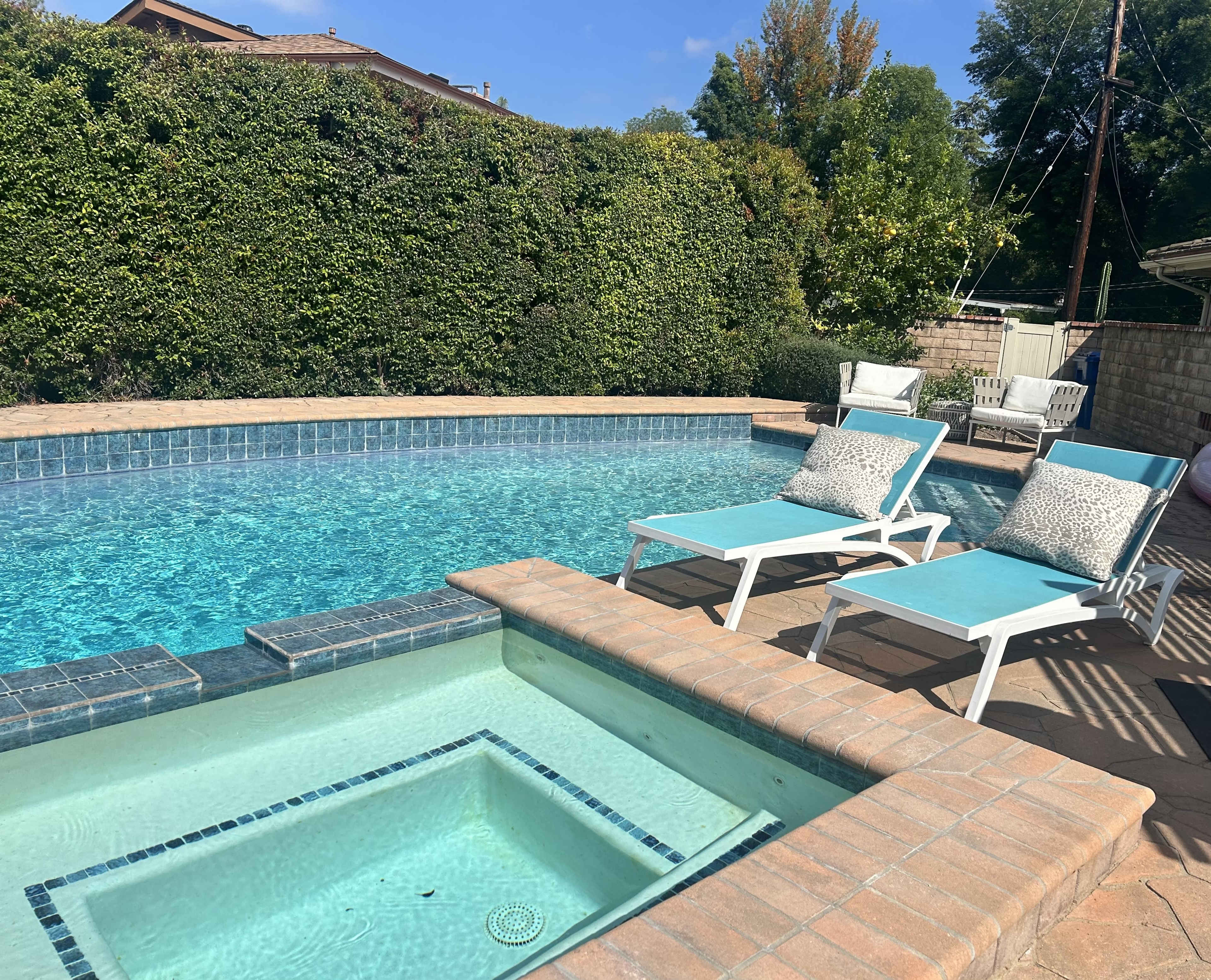A swimming pool with a spa attached, surrounded by a lush hedge and equipped with two lounge chairs.