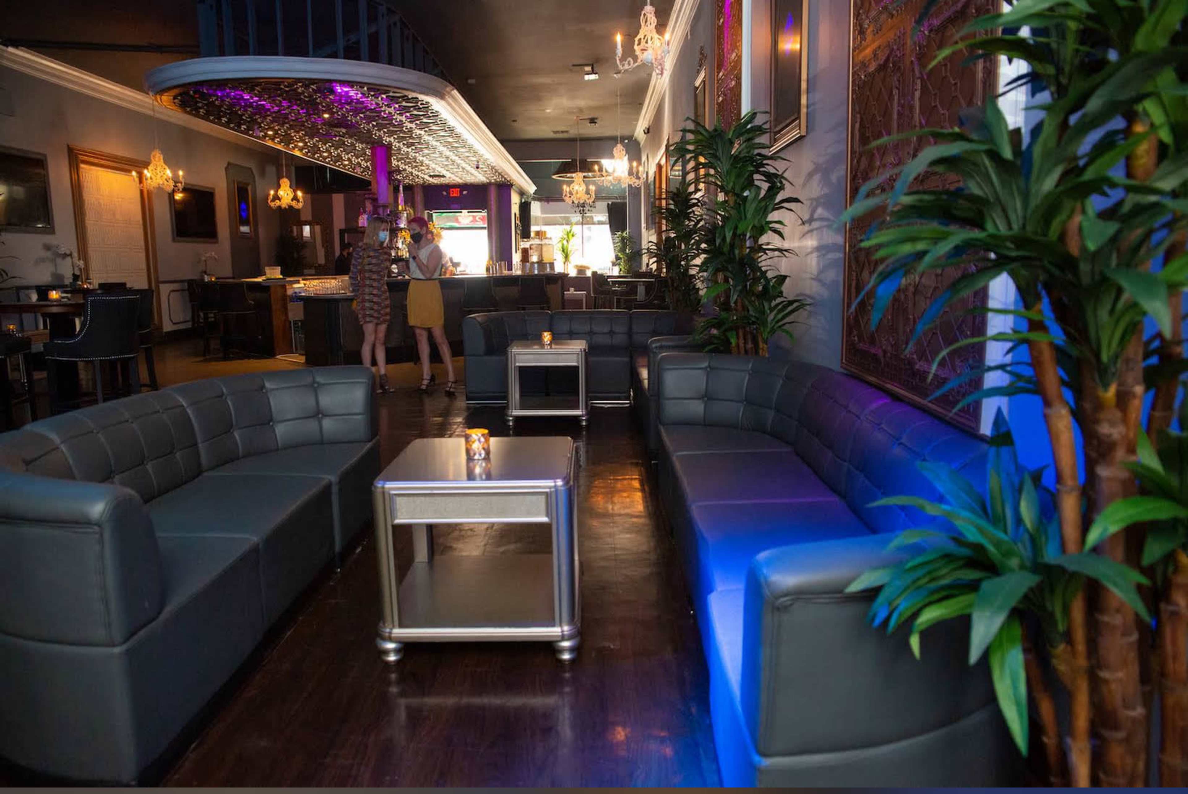 The image shows a modern lounge area featuring leather sofas, a silver coffee table, and decorative plants under soft lighting.
