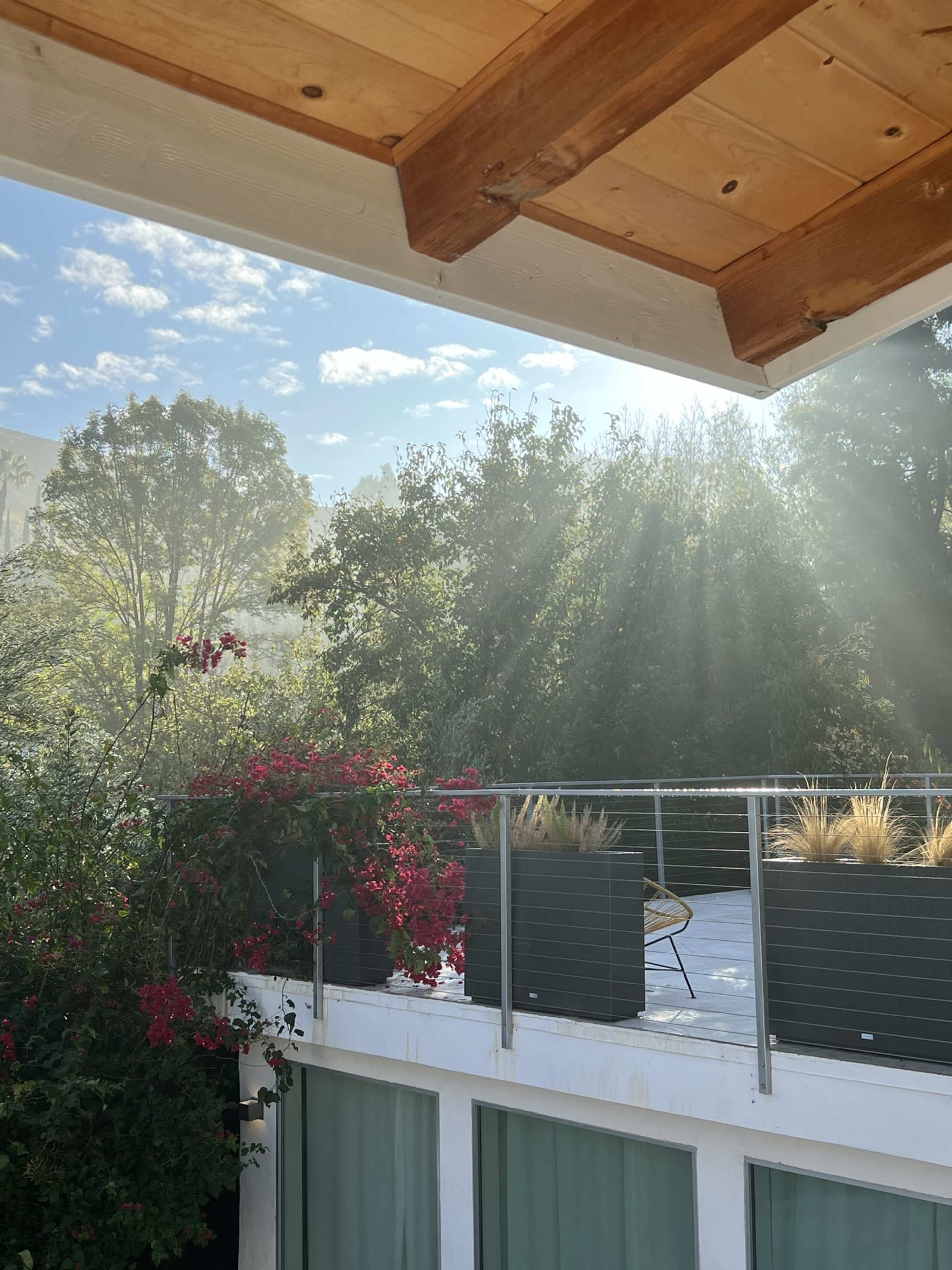 Sunlight filters through trees, illuminating a balcony adorned with pink flowers and potted plants.