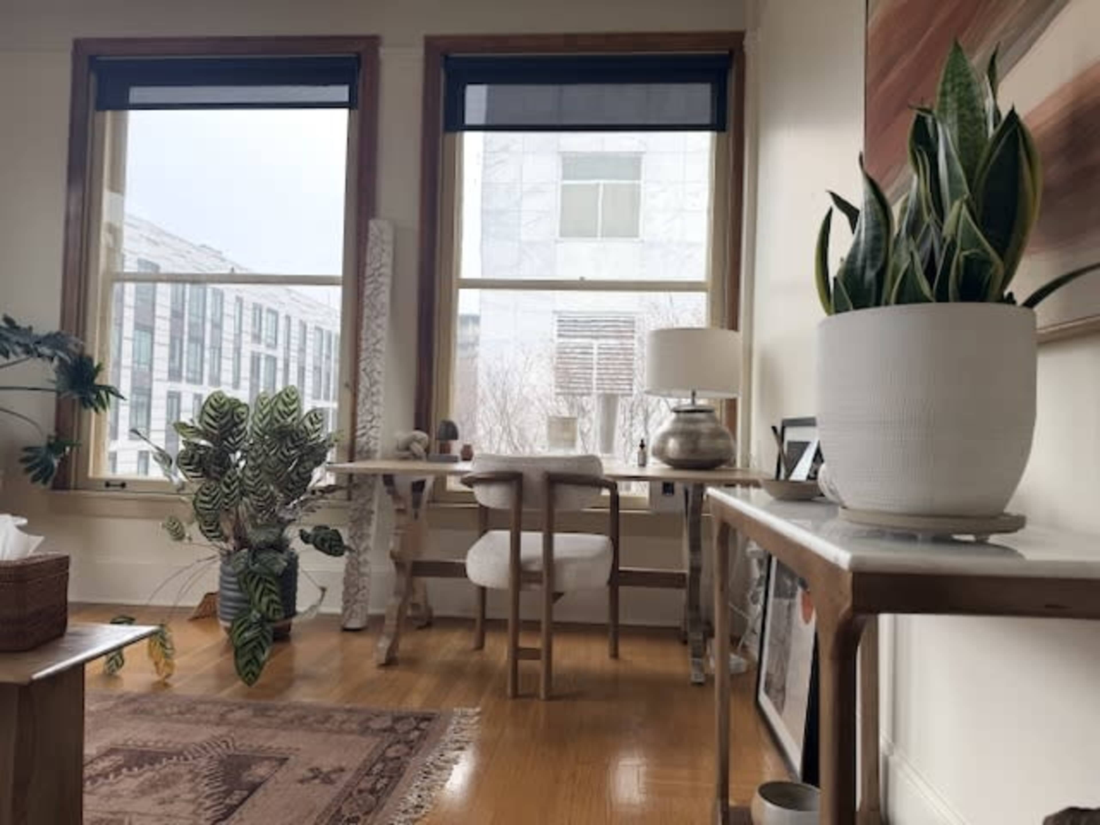 The scene shows a bright room with two large windows, a couple of tables, a small lamp, a potted plant, and a patterned rug on the wooden floor.