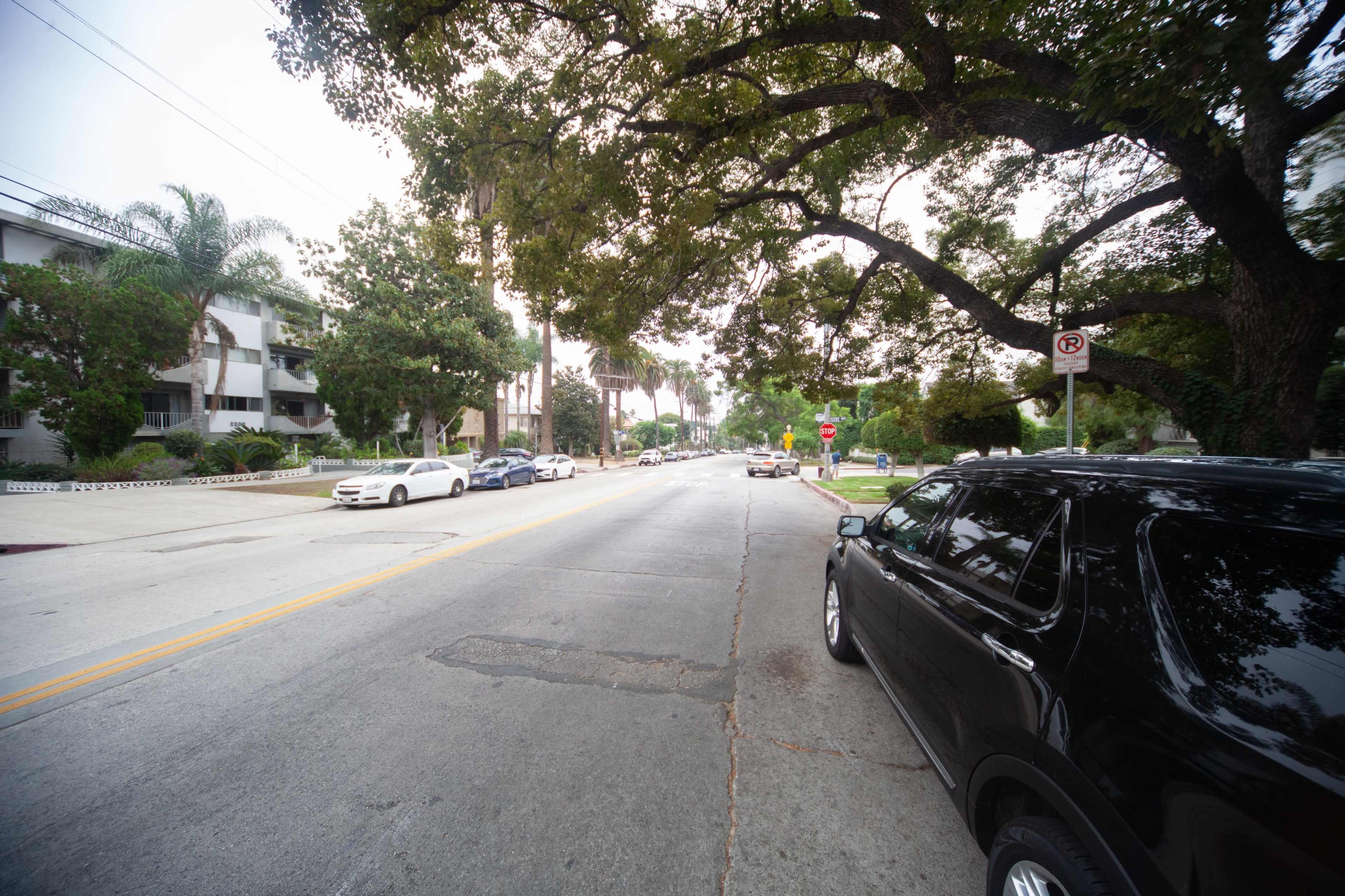 A quiet residential street is lined with palm trees, parked cars, and a stop sign.