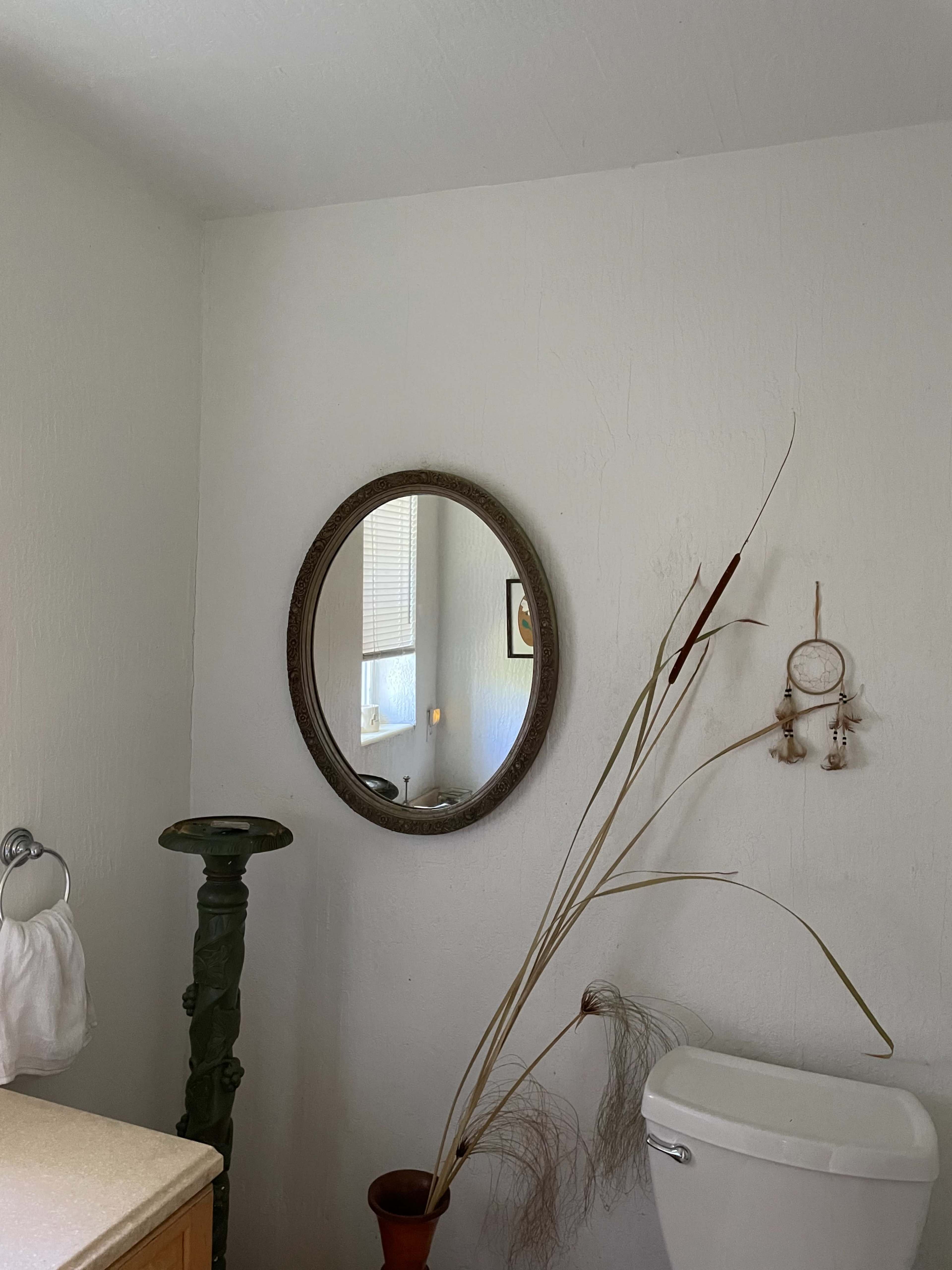 A bathroom corner features a round mirror, a decorative plant, and a toilet beside a wall with a textured surface.