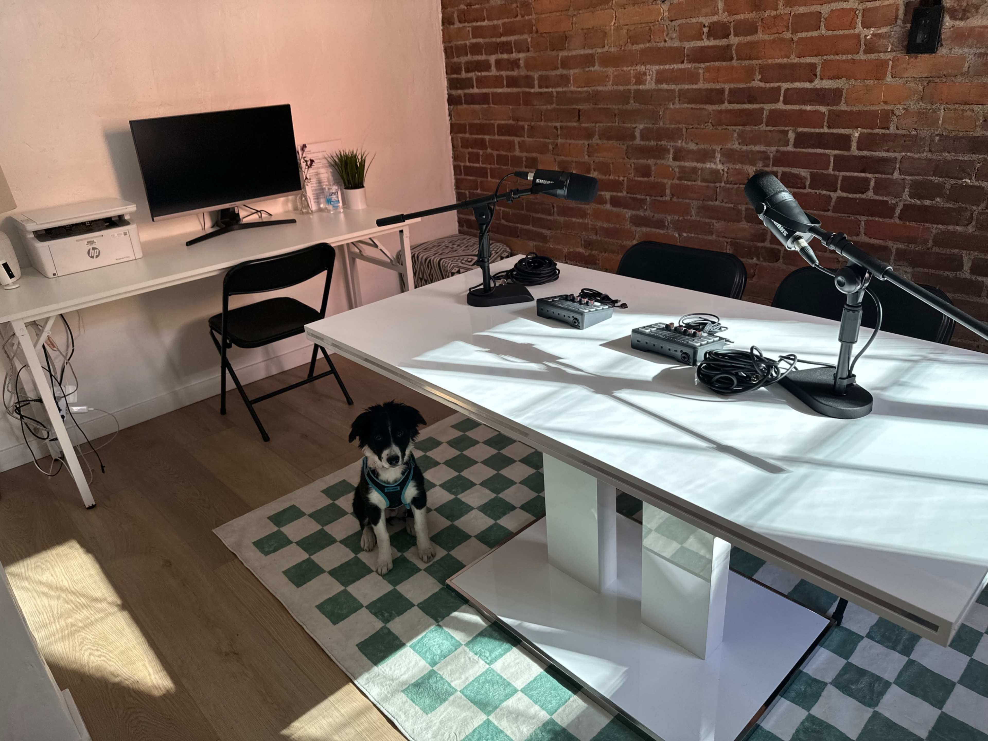 A small recording studio features a table with microphones, audio equipment, and a computer, alongside a puppy sitting on a checkered rug.