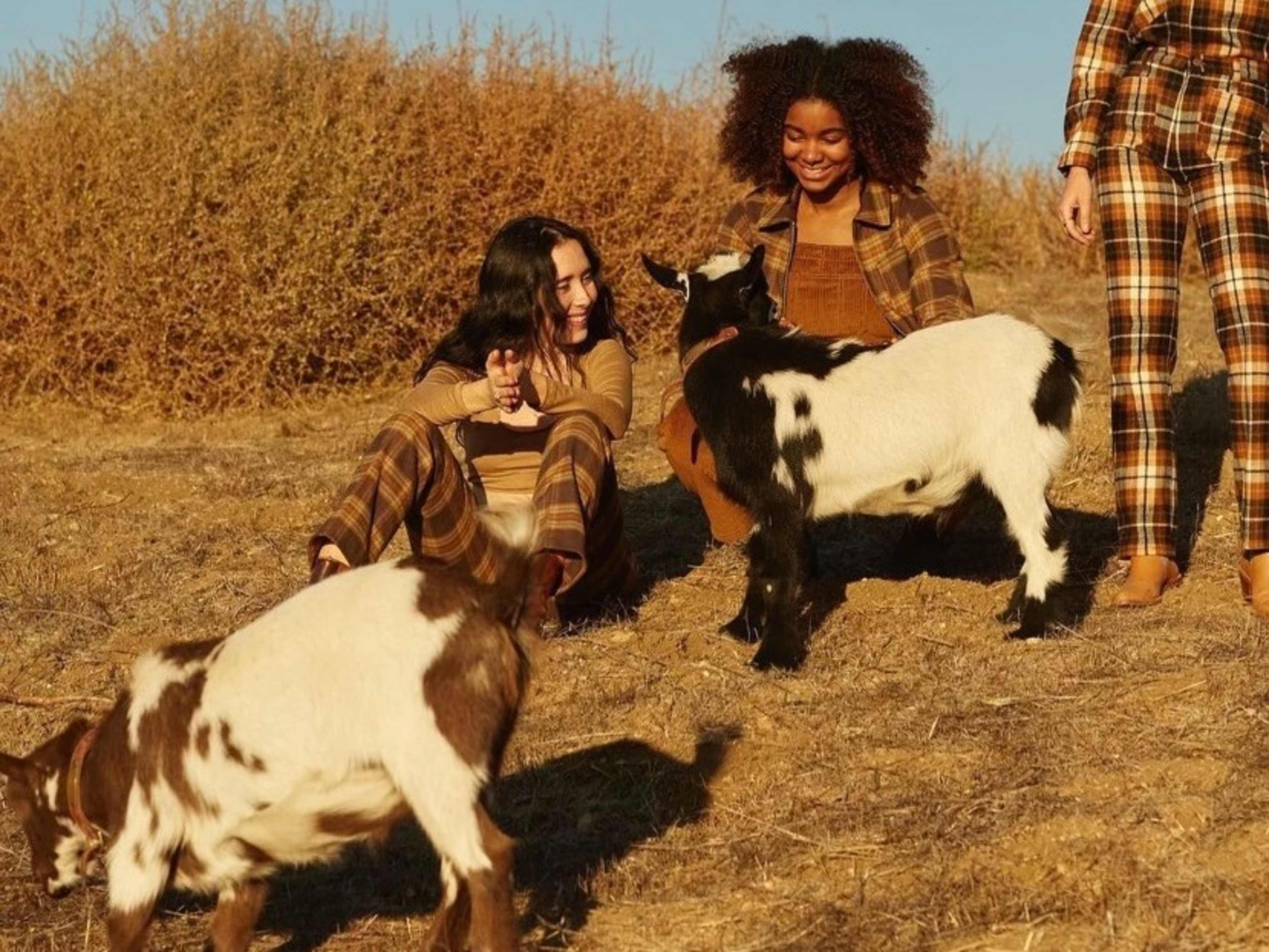 Goats