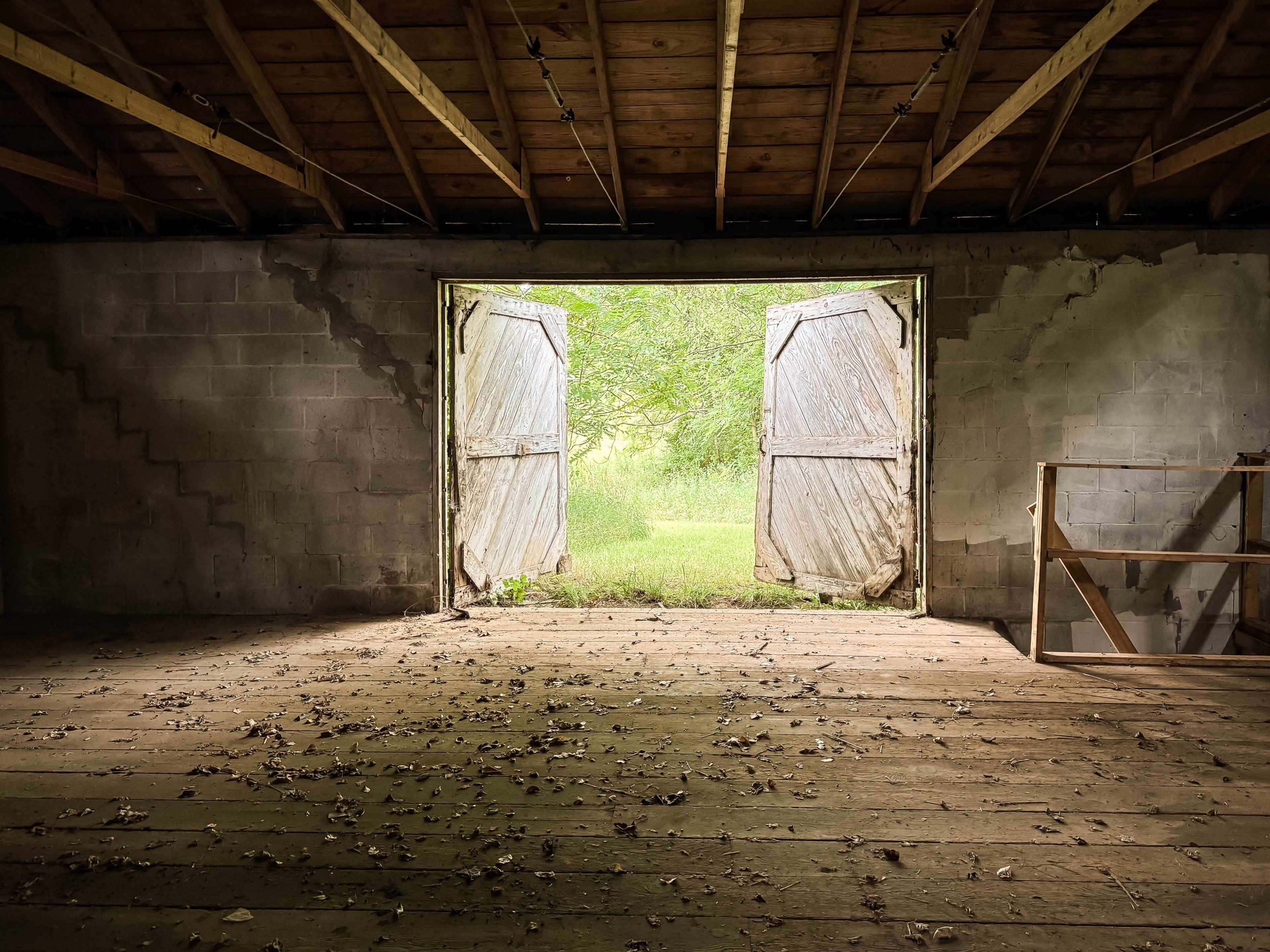 An open double door frames a view of a grassy field and trees beyond, with a wooden floor and scattered leaves inside the room.