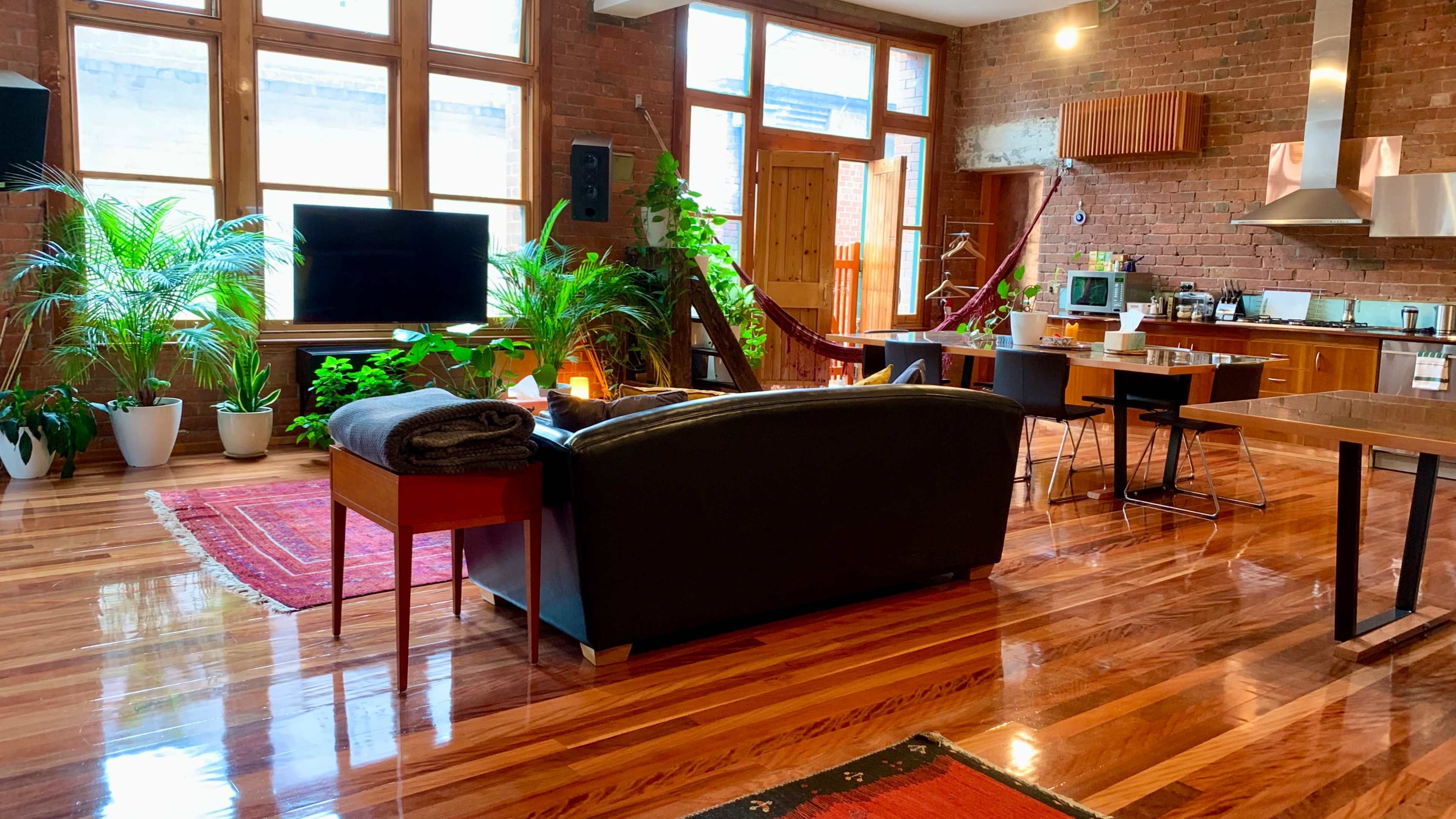 A spacious, modern living area with large windows, hardwood floors, potted plants, and a kitchen in the background.