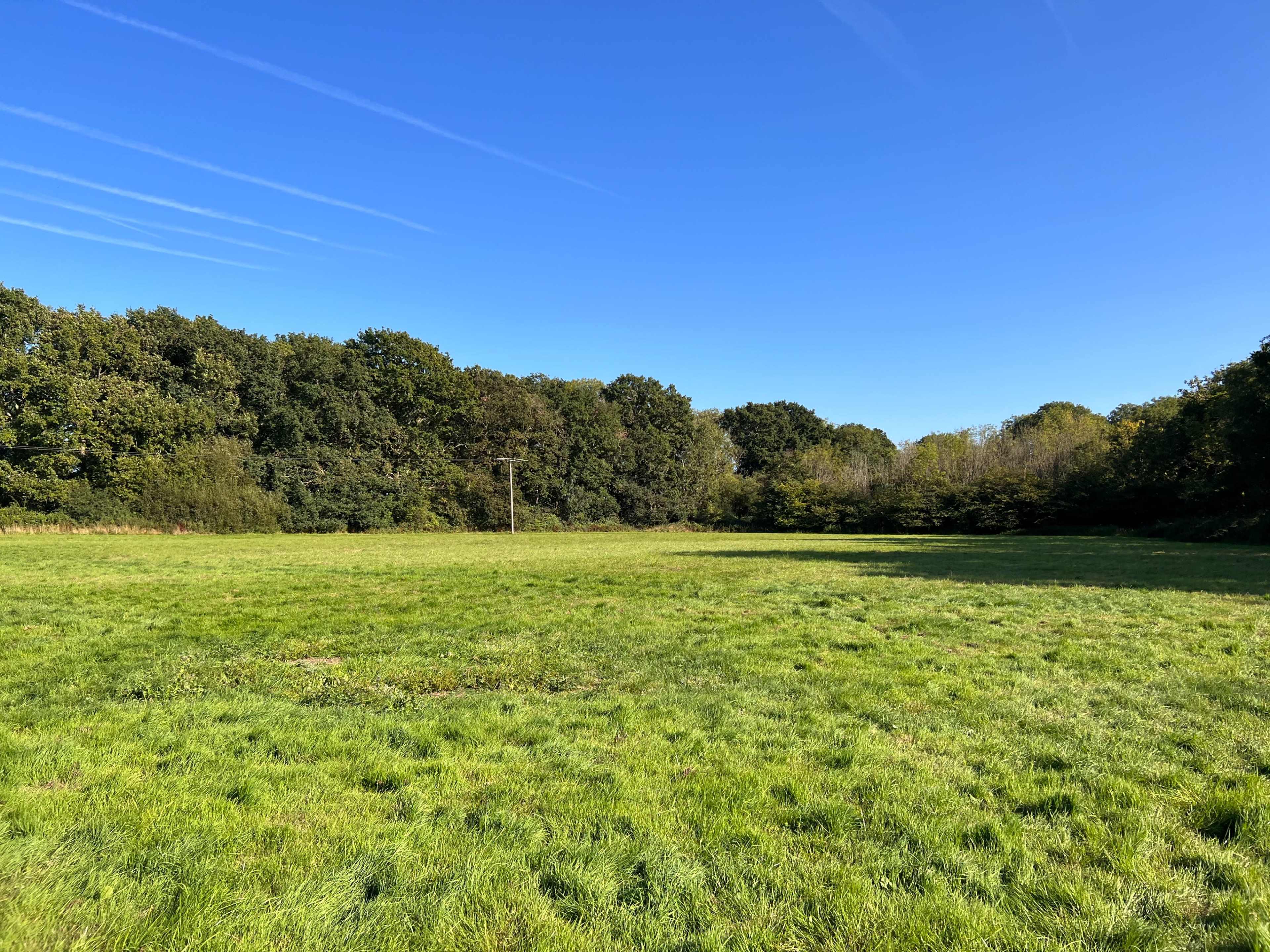 A spacious green field bordered by a tree line under a clear blue sky.
