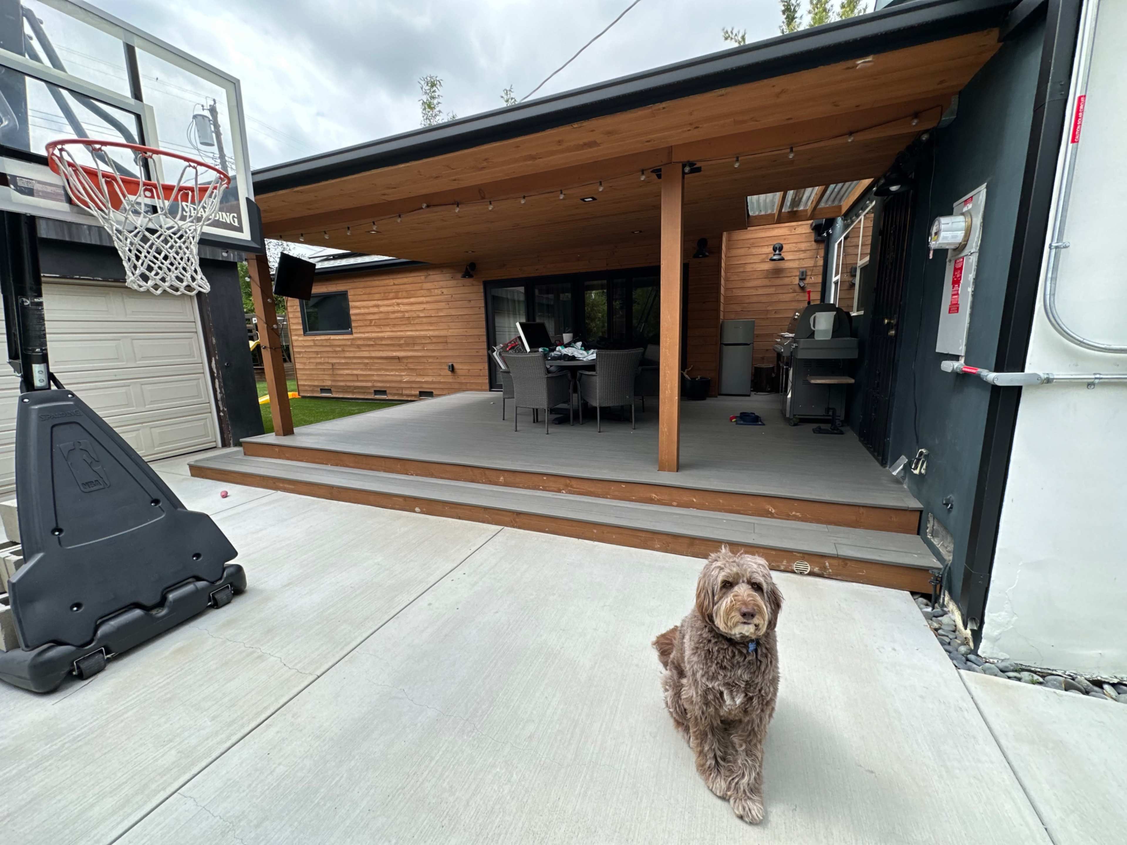 A brown dog stands on a concrete surface in front of a covered patio with a dining table and grill.