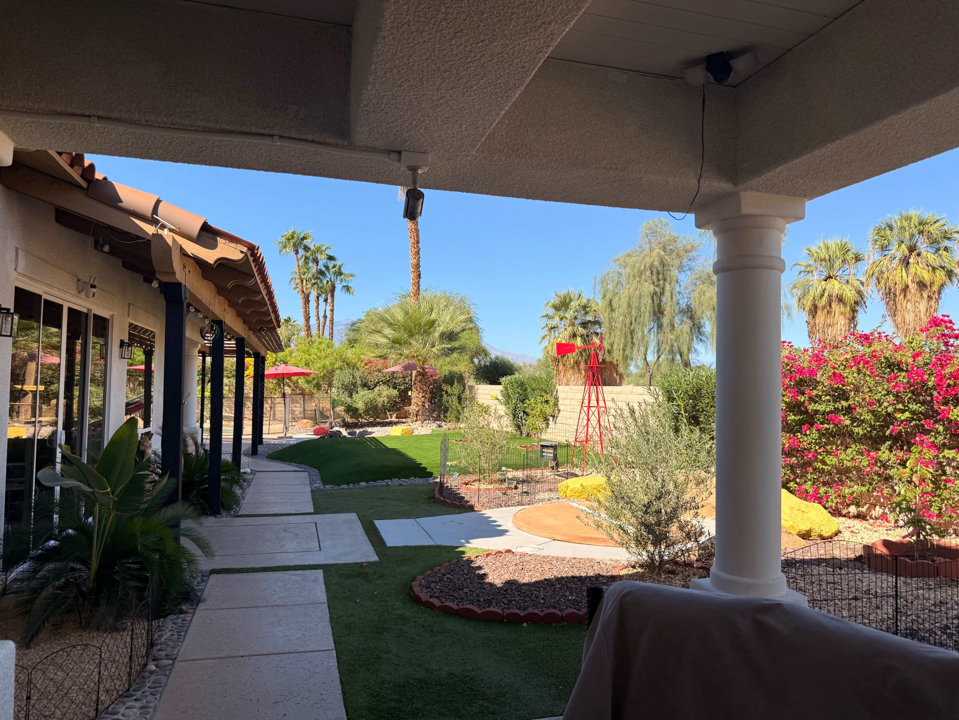 The image shows a landscaped backyard with palm trees, colorful flowers, and a red windmill, viewed from a covered patio.