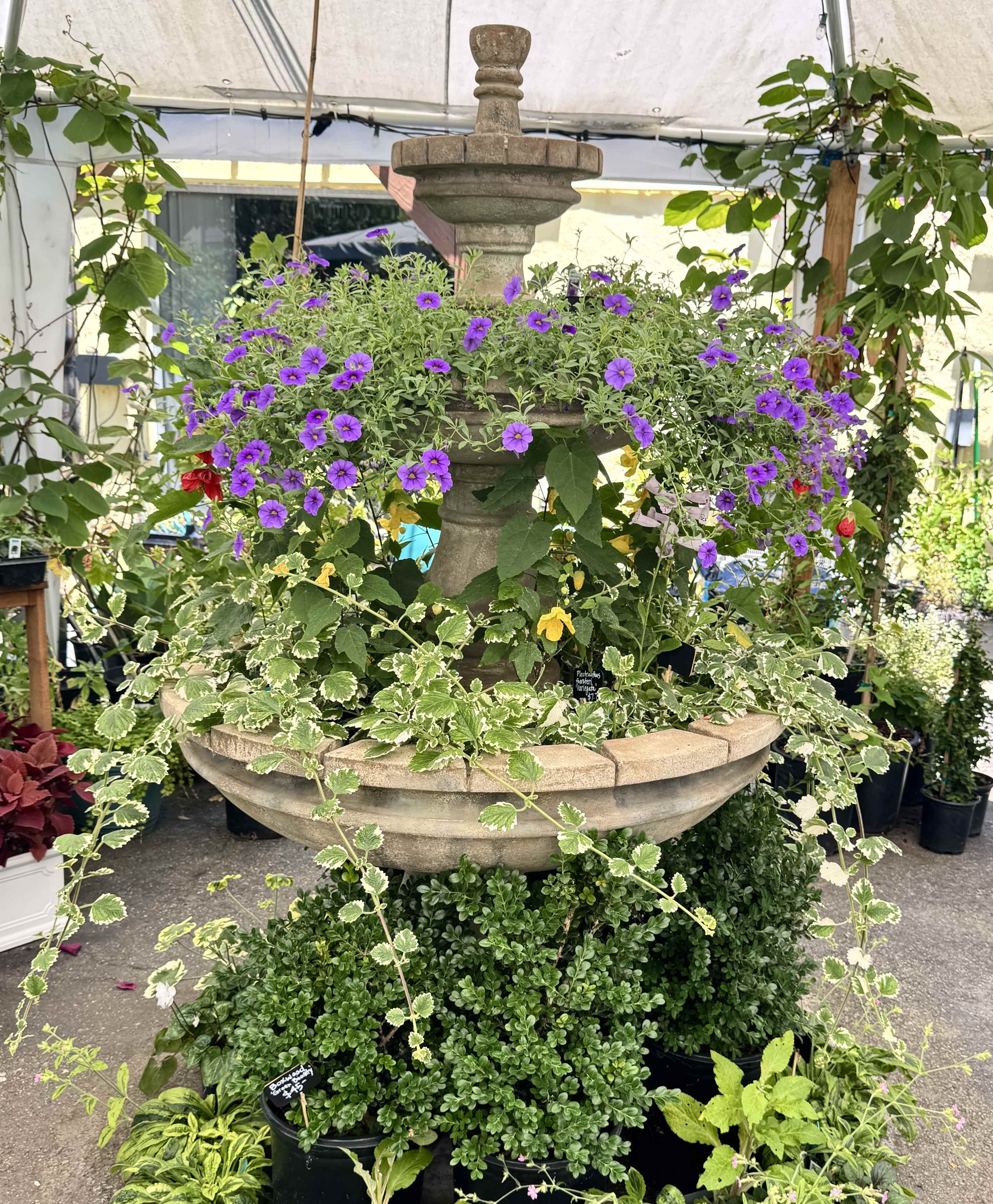 A stone fountain adorned with vibrant flowers and greenery sits in a garden center.