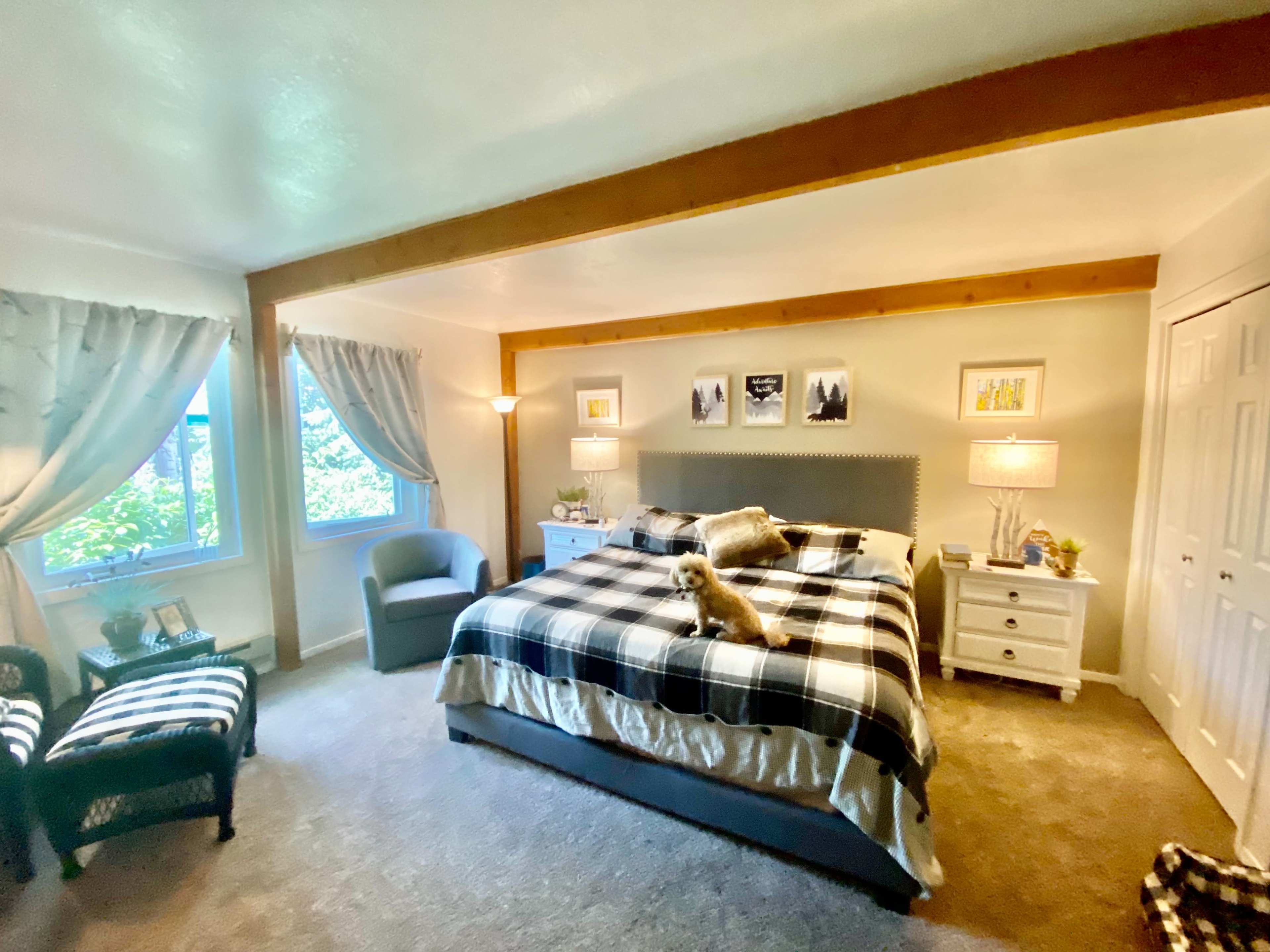 A cozy bedroom with a bed dressed in a plaid blanket, a dog sitting on the bed, and large windows with curtains.
