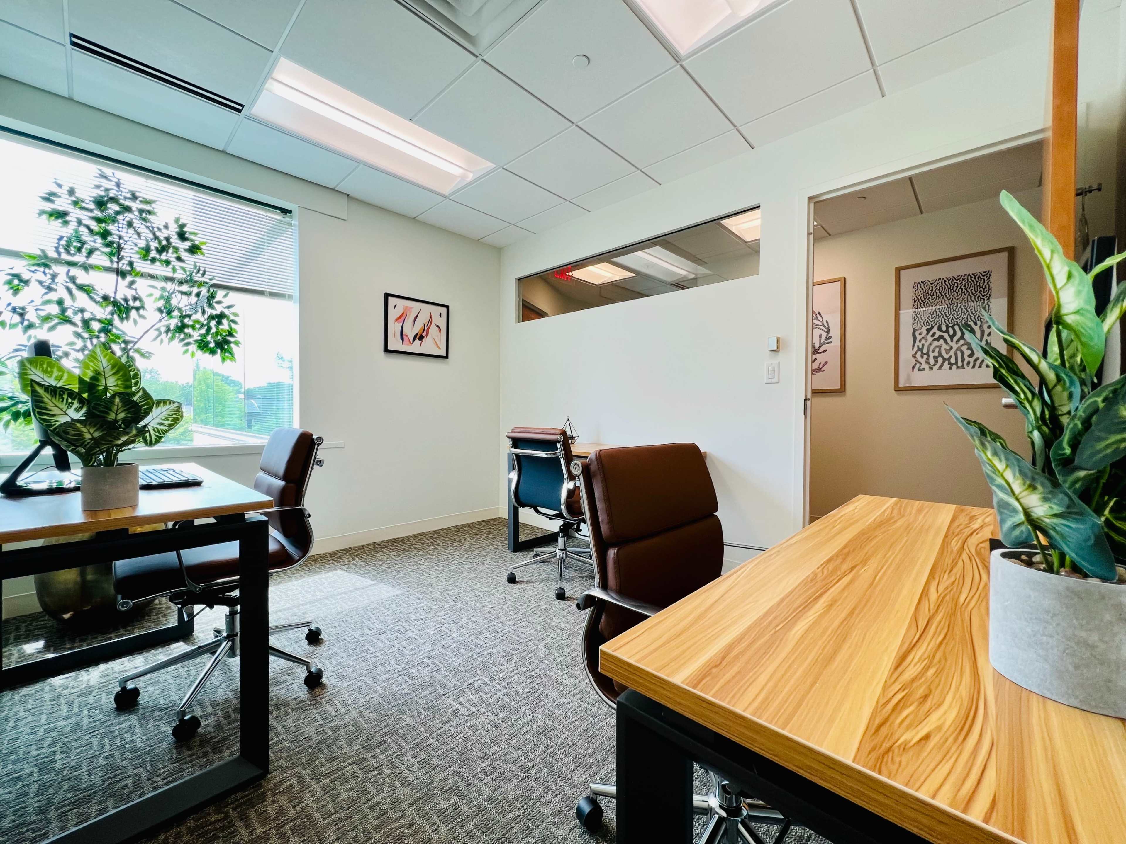A modern office space features two desks with chairs, plants, and large windows that provide natural light.