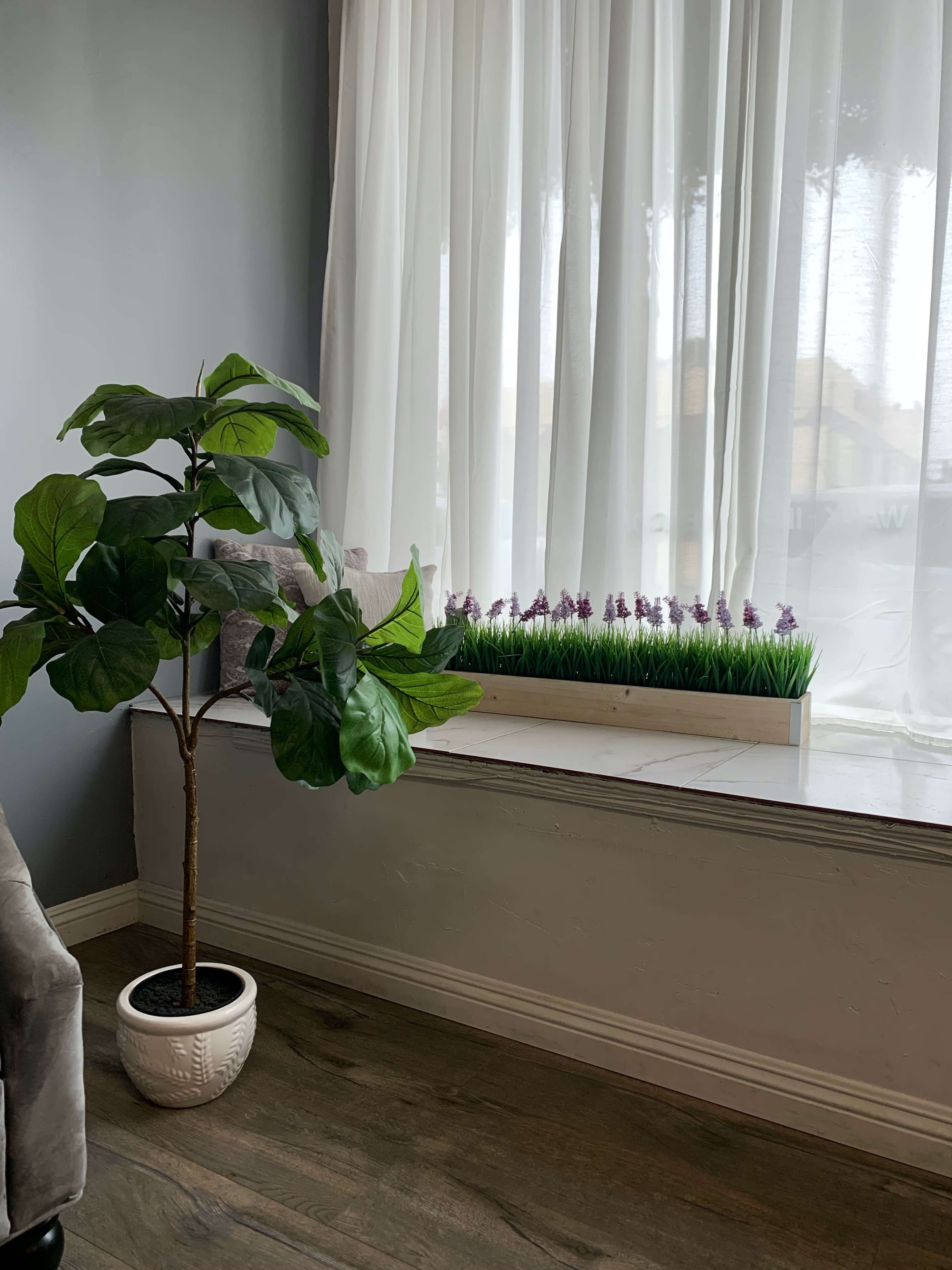 A potted fiddle leaf fig tree stands beside a window with sheer white curtains, overlooking a small planter filled with purple flowers and green grass.