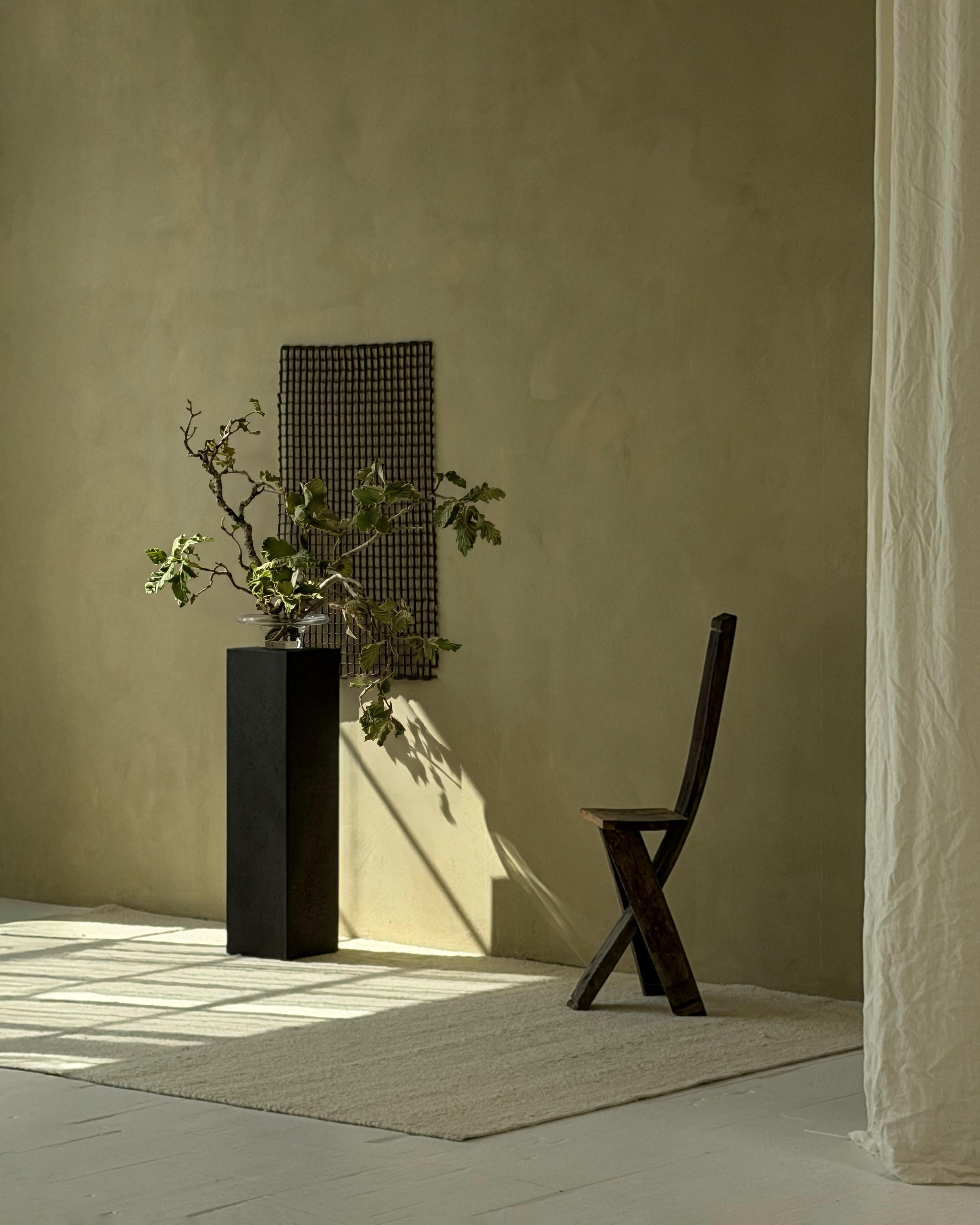 The image features a minimalistic interior with a wooden chair, a tall black planter holding a branched plant, and a textured wall in soft tones.